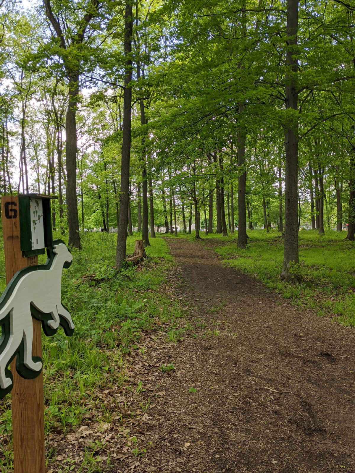 Ingham Park - Whippet's Run disc golf course in Lansing, Michigan