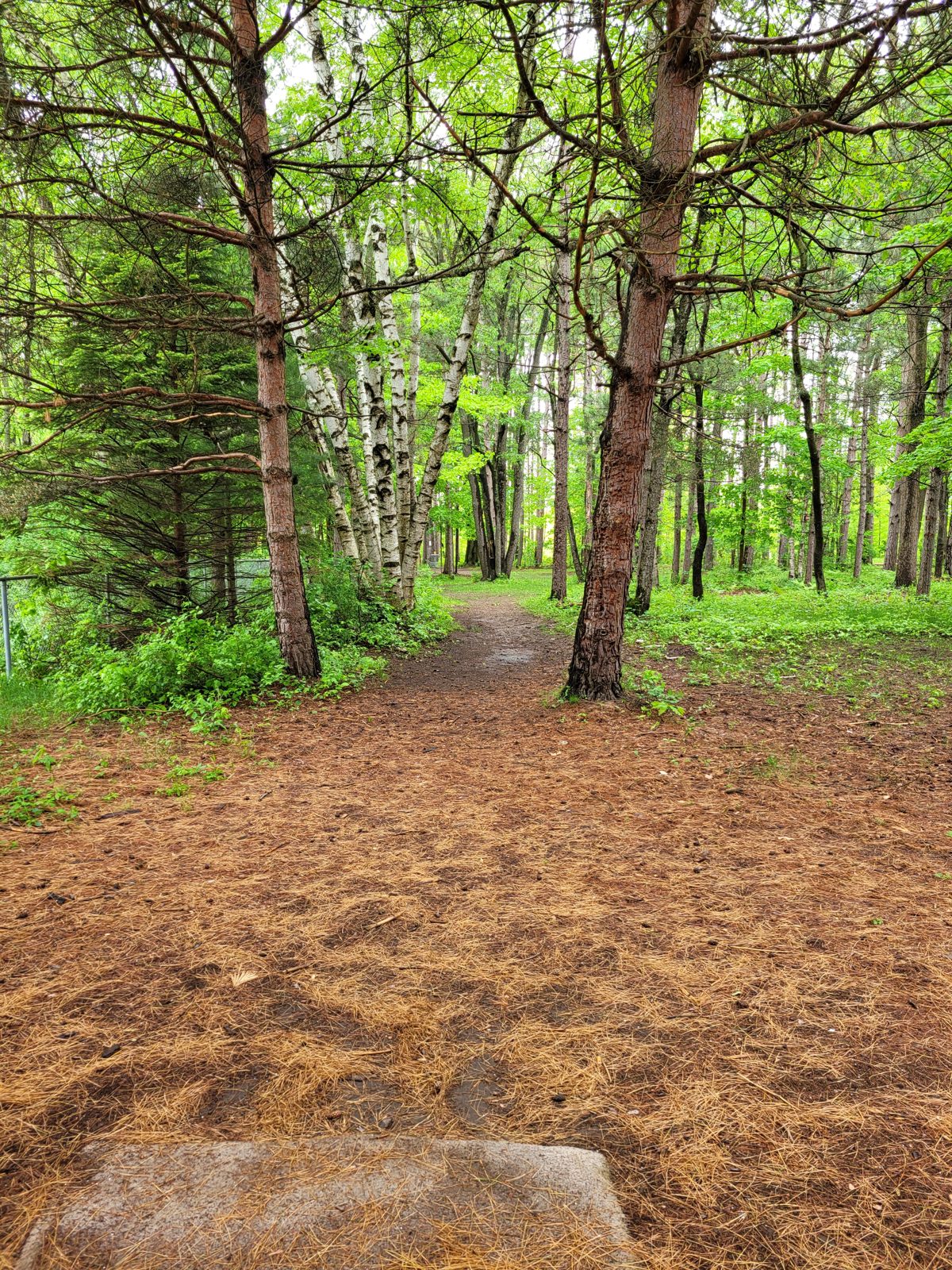 Ryan Markel Memorial Disc Golf Course disc golf course in Croswell, Michigan