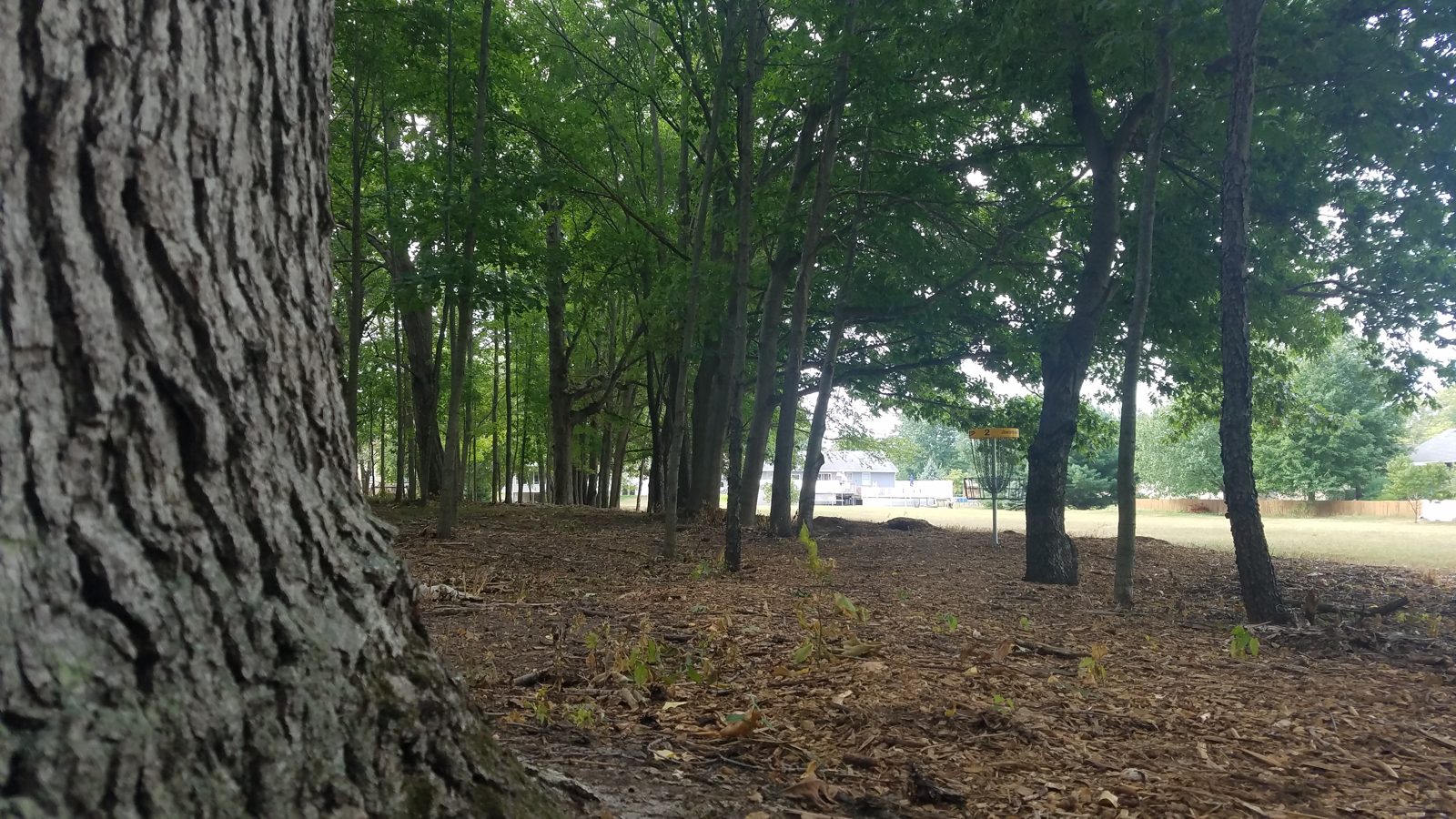 Covenant DGC disc golf course in Hudsonville, Michigan