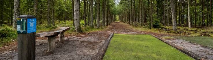 Gymnasieparken Disc Golf disc golf course in Skive, Central Denmark