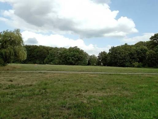 Finsterwalde Bürgerheide Disc Golf disc golf course in Finsterwalde, Brandenburg