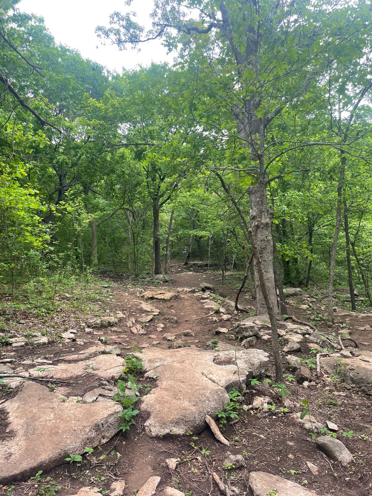 Chandler Park Black (Bear's Lair) disc golf course in Tulsa, Oklahoma