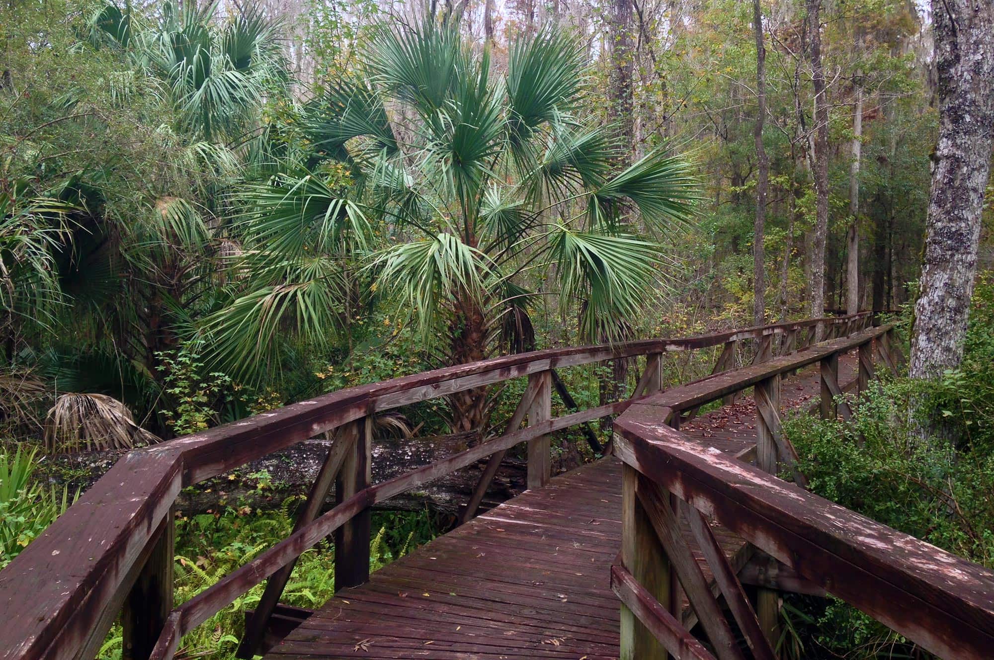 Peace River DGC disc golf course in Bartow, Florida