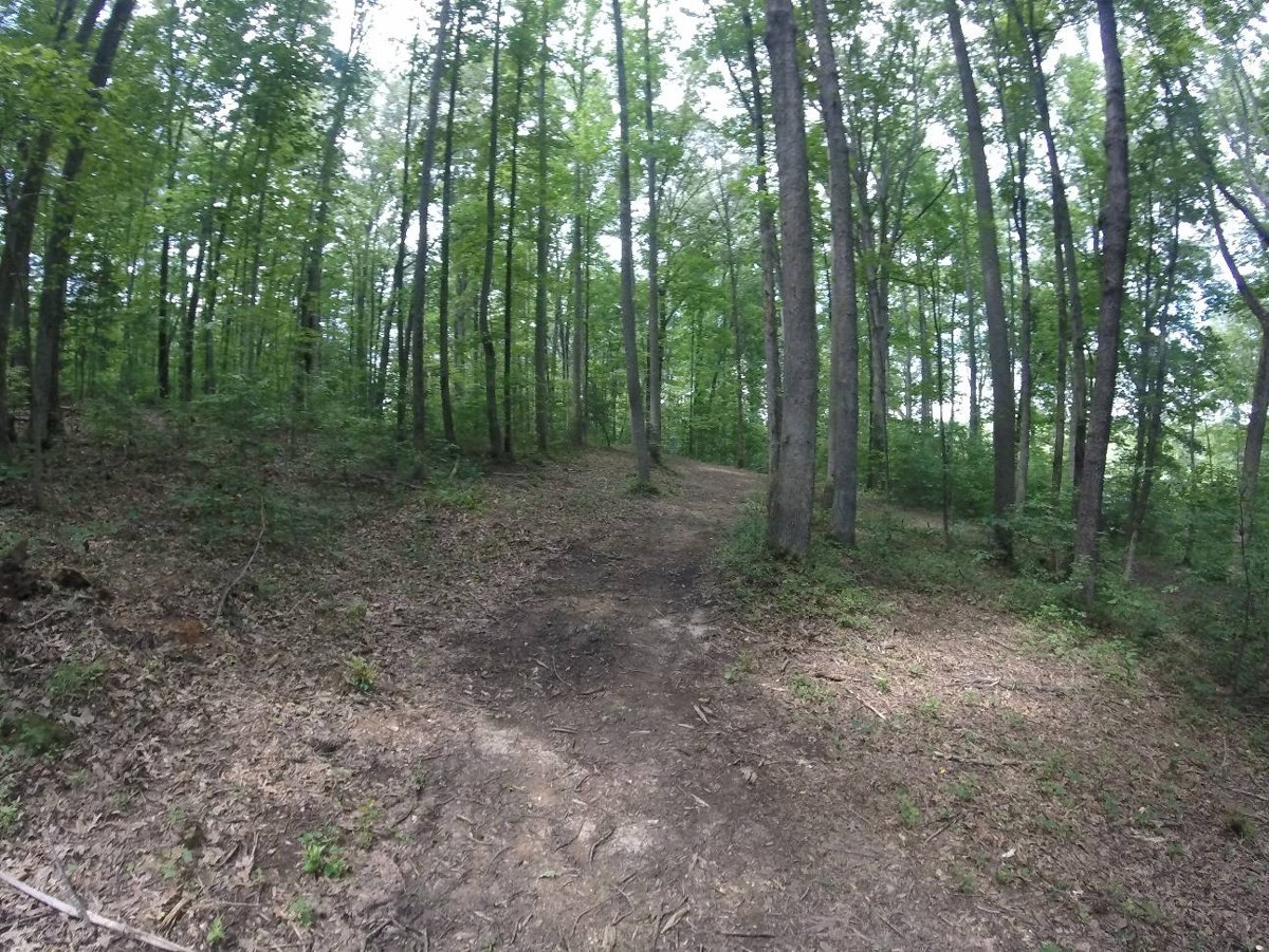 Curtis Memorial Park Disc Golf Course (Hartwood) disc golf course in Fredericksburg, Virginia