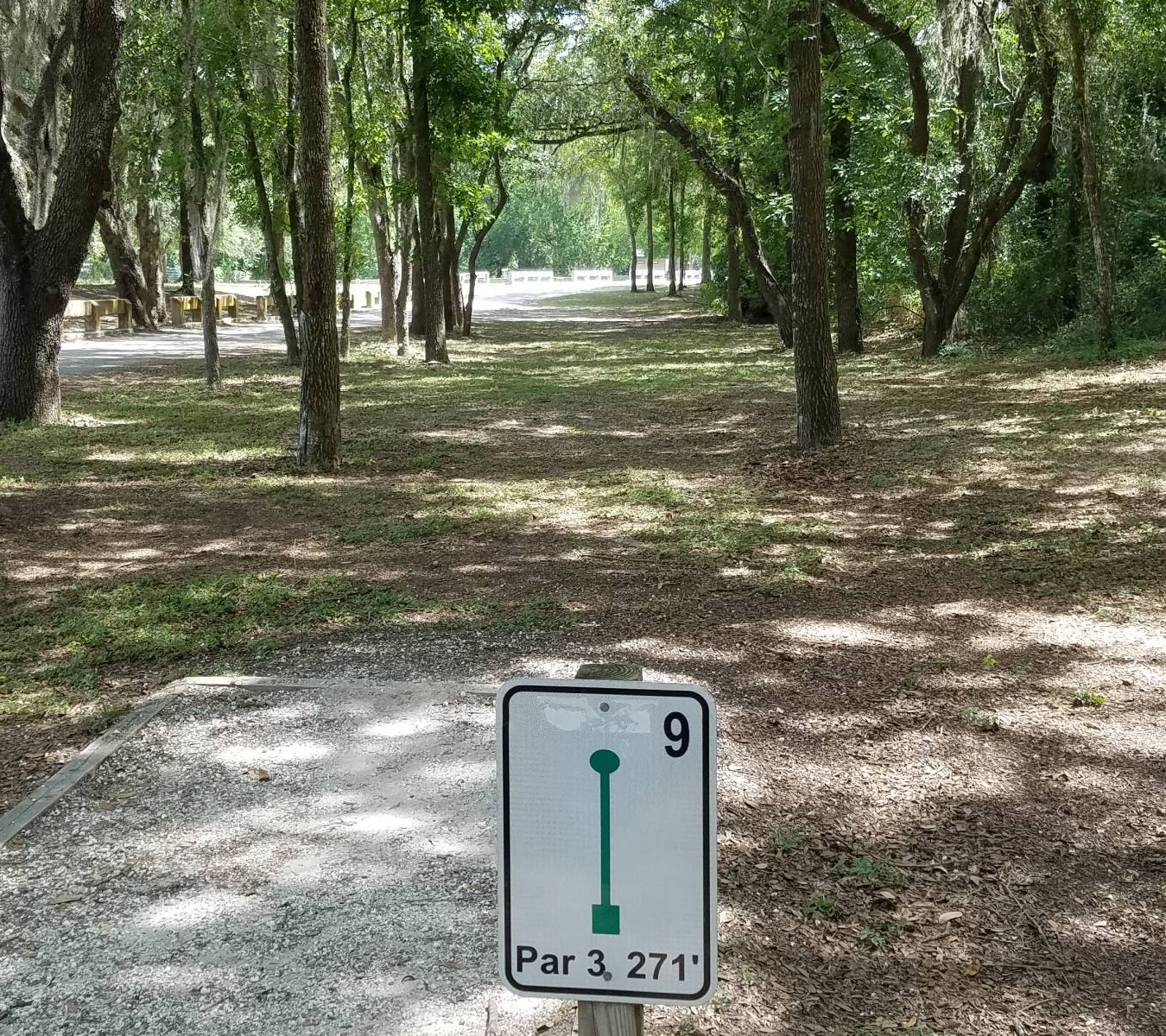Shady Brooke Greenway Park disc golf course in Lake Panasoffkee, Florida