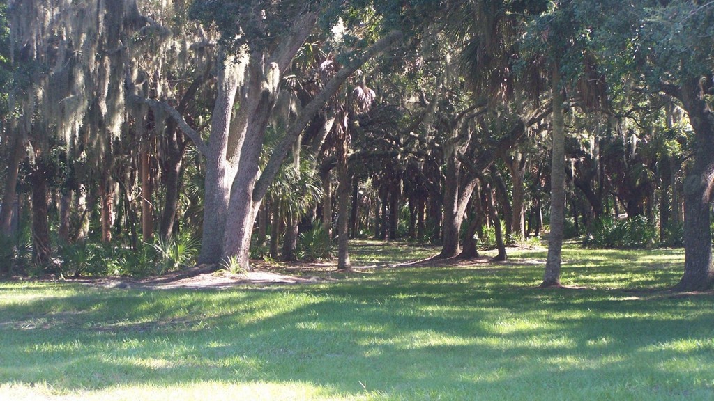North Water Tower Park DGC disc golf course in Sarasota, Florida