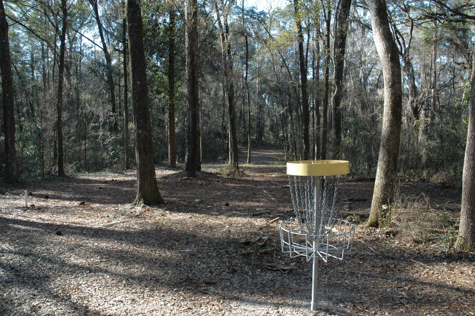 Maggie at Spirit of the Suwannee disc golf course in Live Oak, Florida