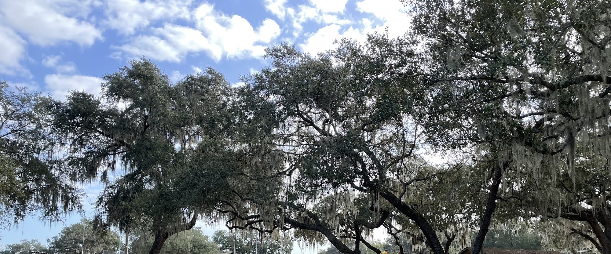 Kenny Dixon Sports Complex disc golf course in Bushnell, Florida