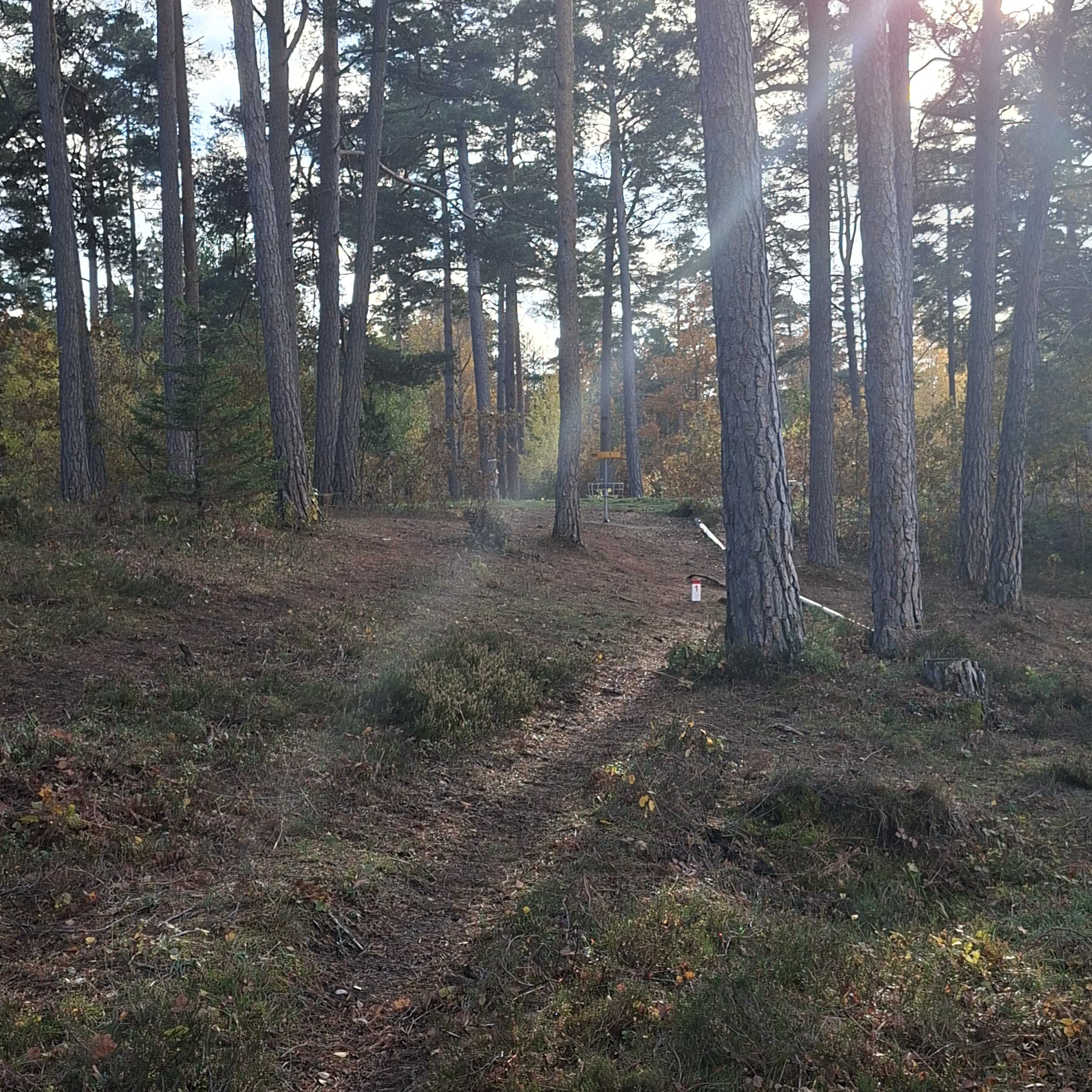 Svaidestugans Discgolfbana disc golf course in Gotlands län, Gotlands län