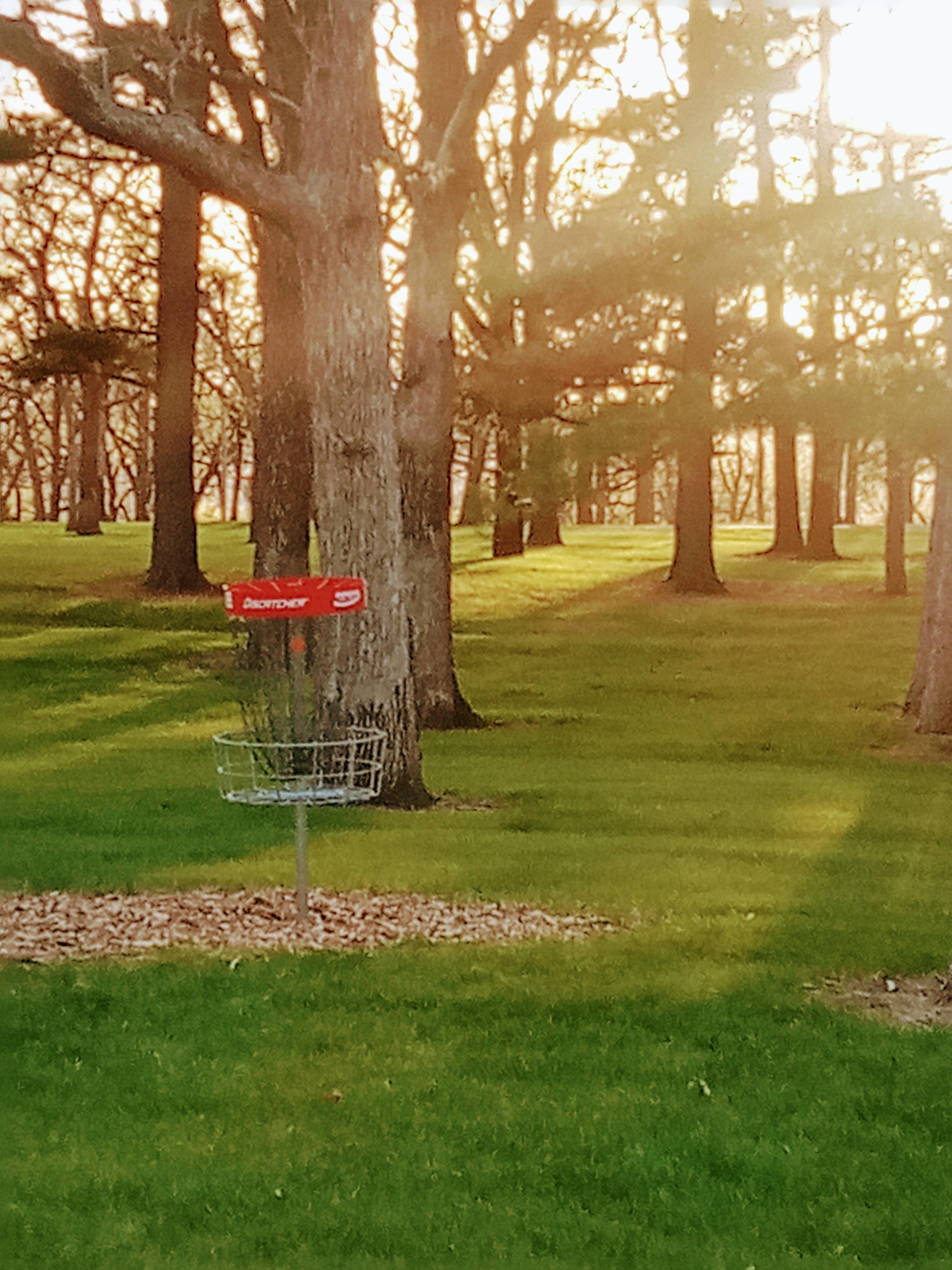 Riverside Park disc golf course in St. Cloud, MN