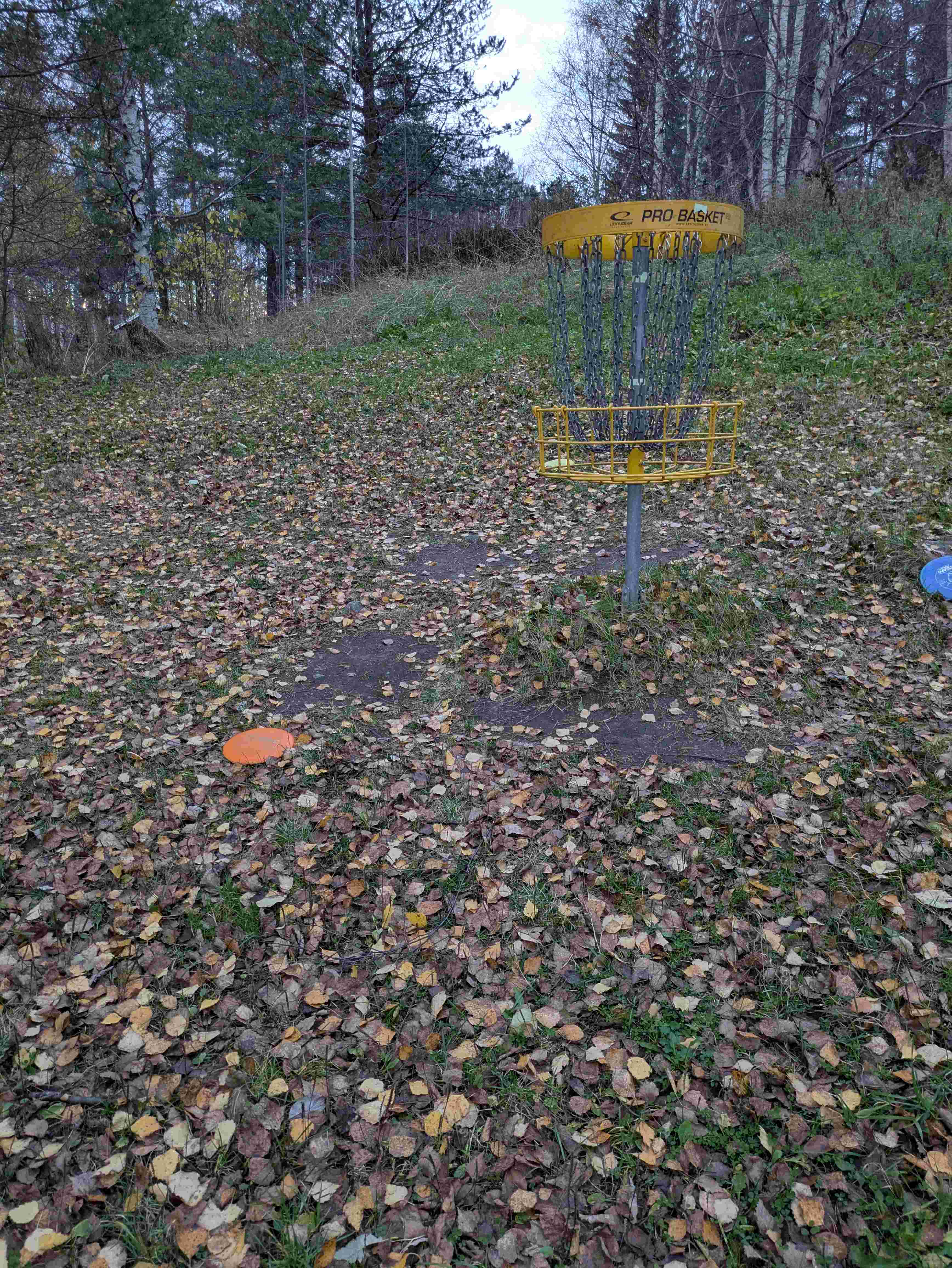 Hertsö Kullar disc golf course in Norrbottens län, Norrbottens län