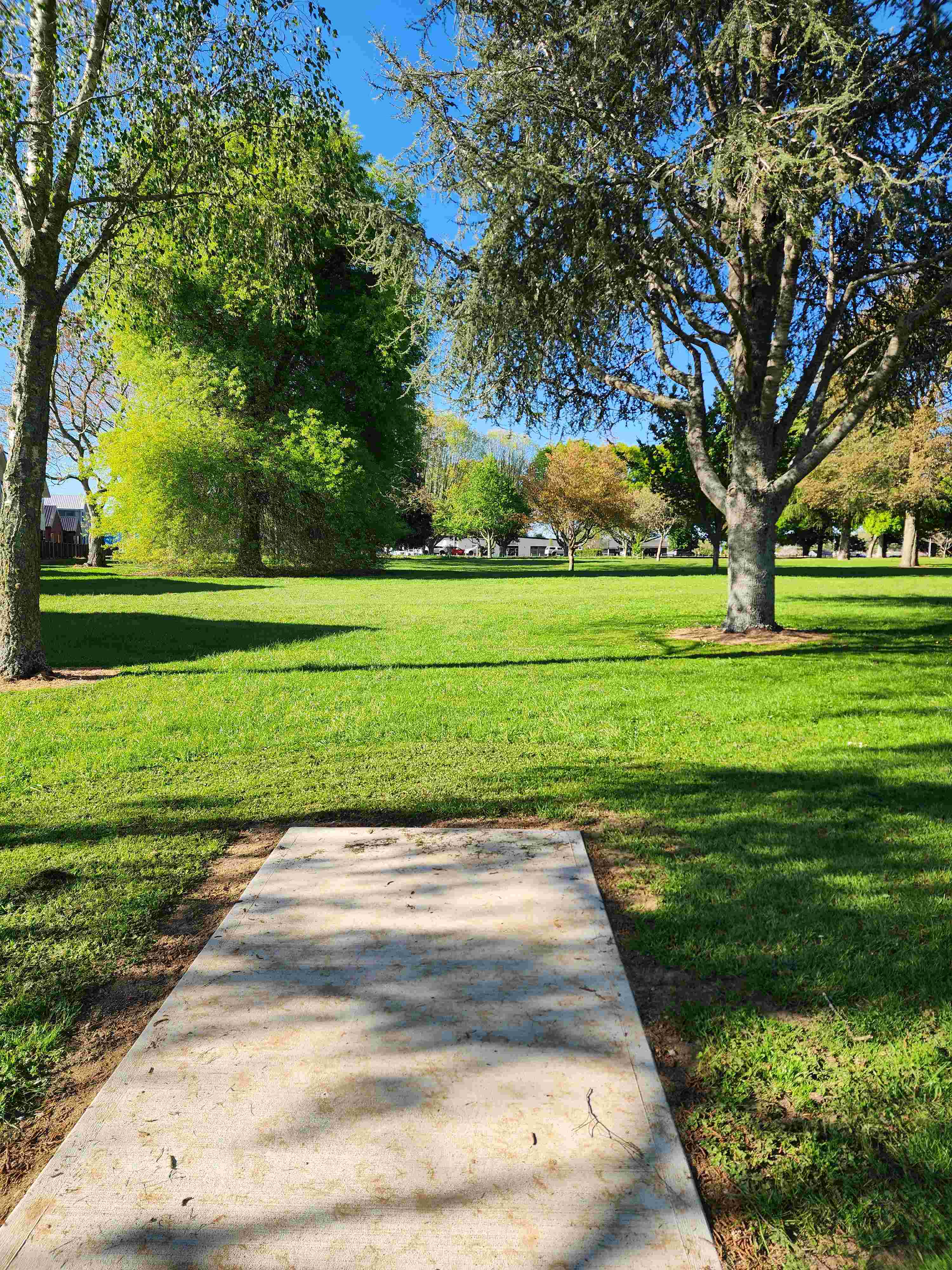 Payne park disc golf course disc golf course in Cambridge, Waikato Region