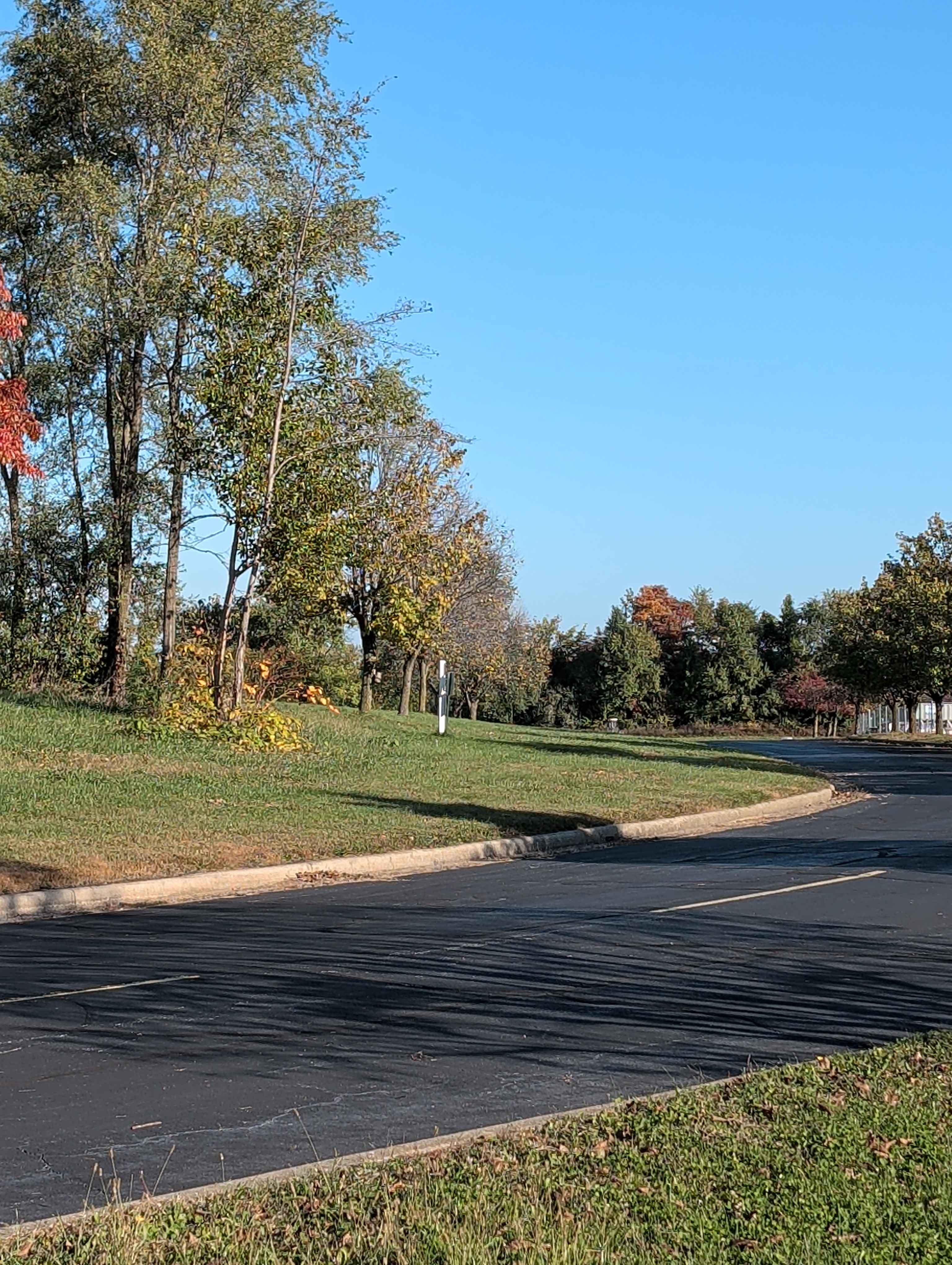 Liberty Woods disc golf course in Valparaiso, IN