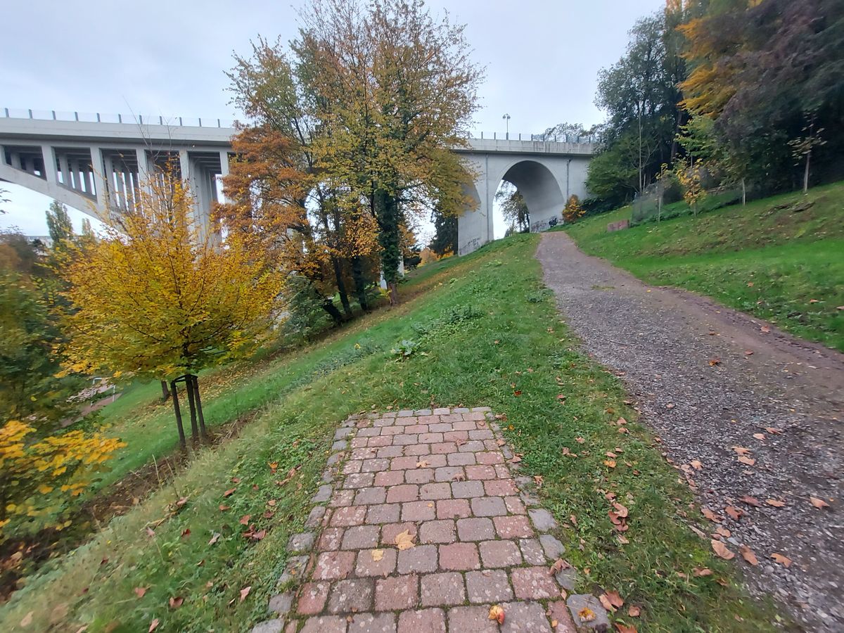 Pirmasens Dynamikum disc golf course in Pirmasens, Rhineland-Palatinate