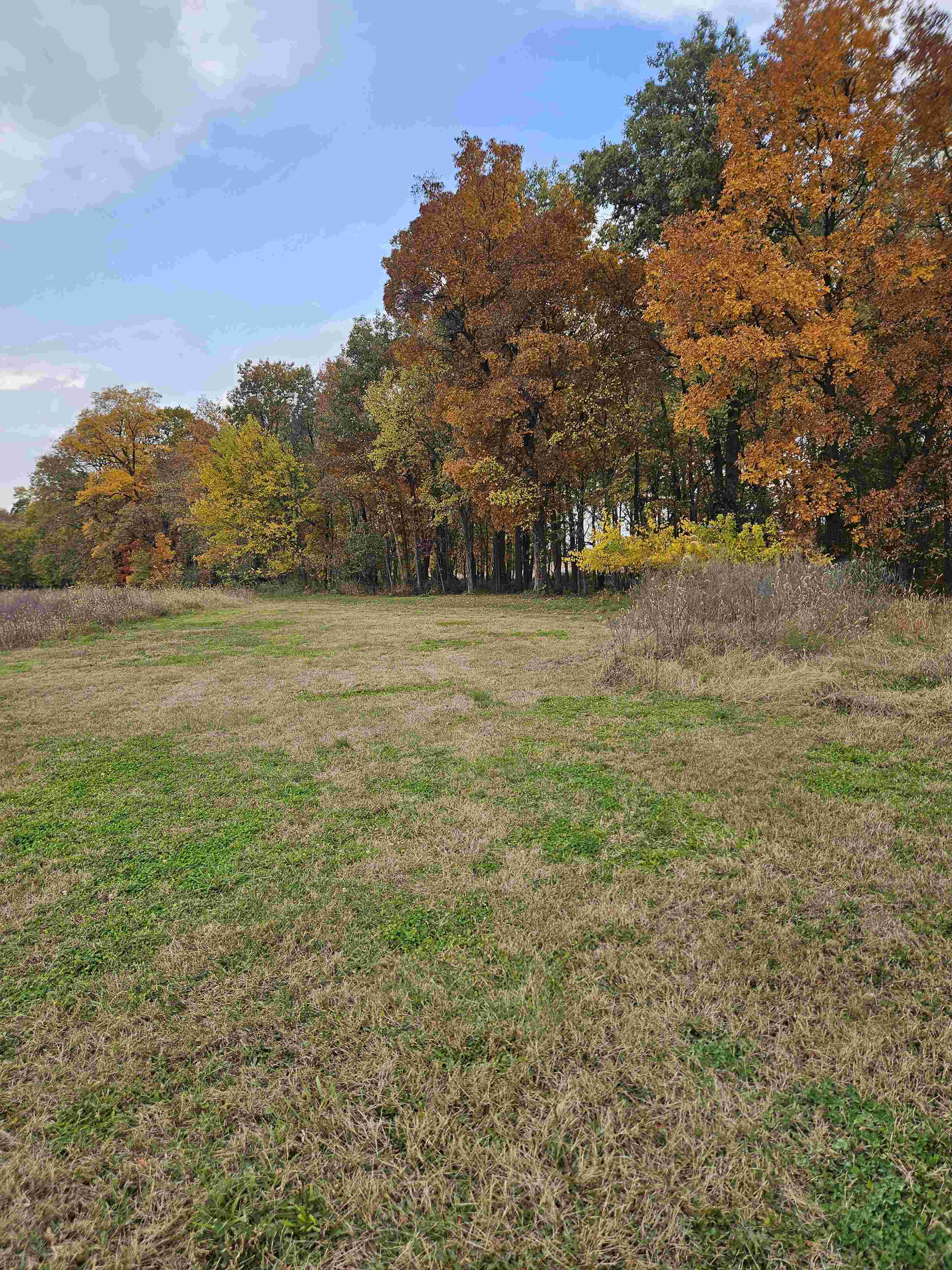 Wickey, Woods and Water Disc Golf disc golf course in Bronson, MI