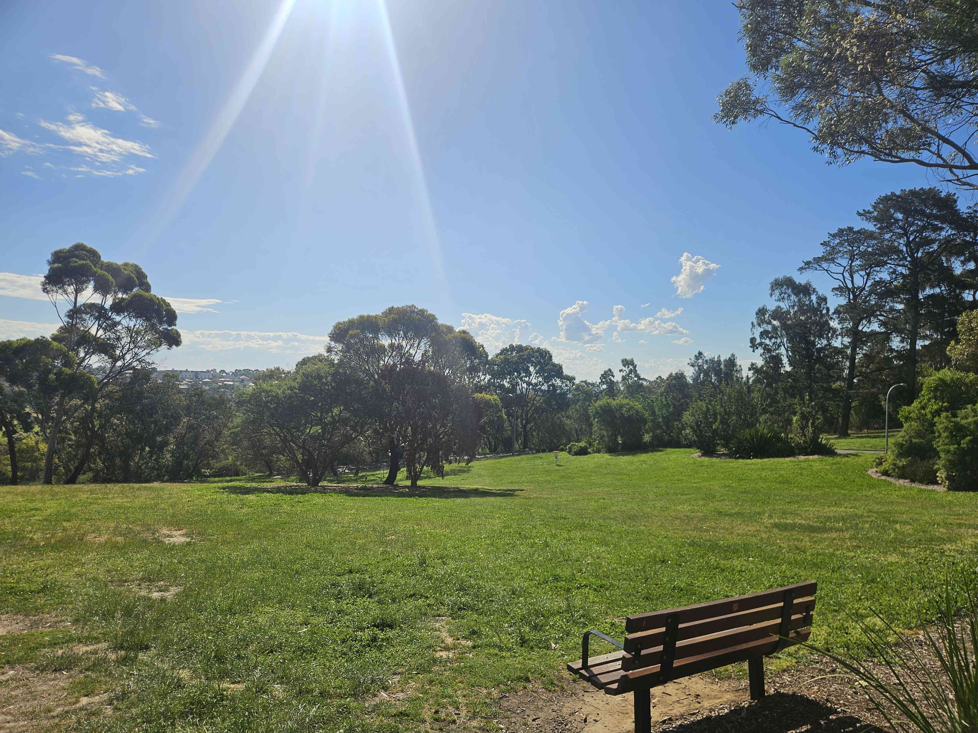 Ruffey Golds disc golf course in Templestowe, Victoria