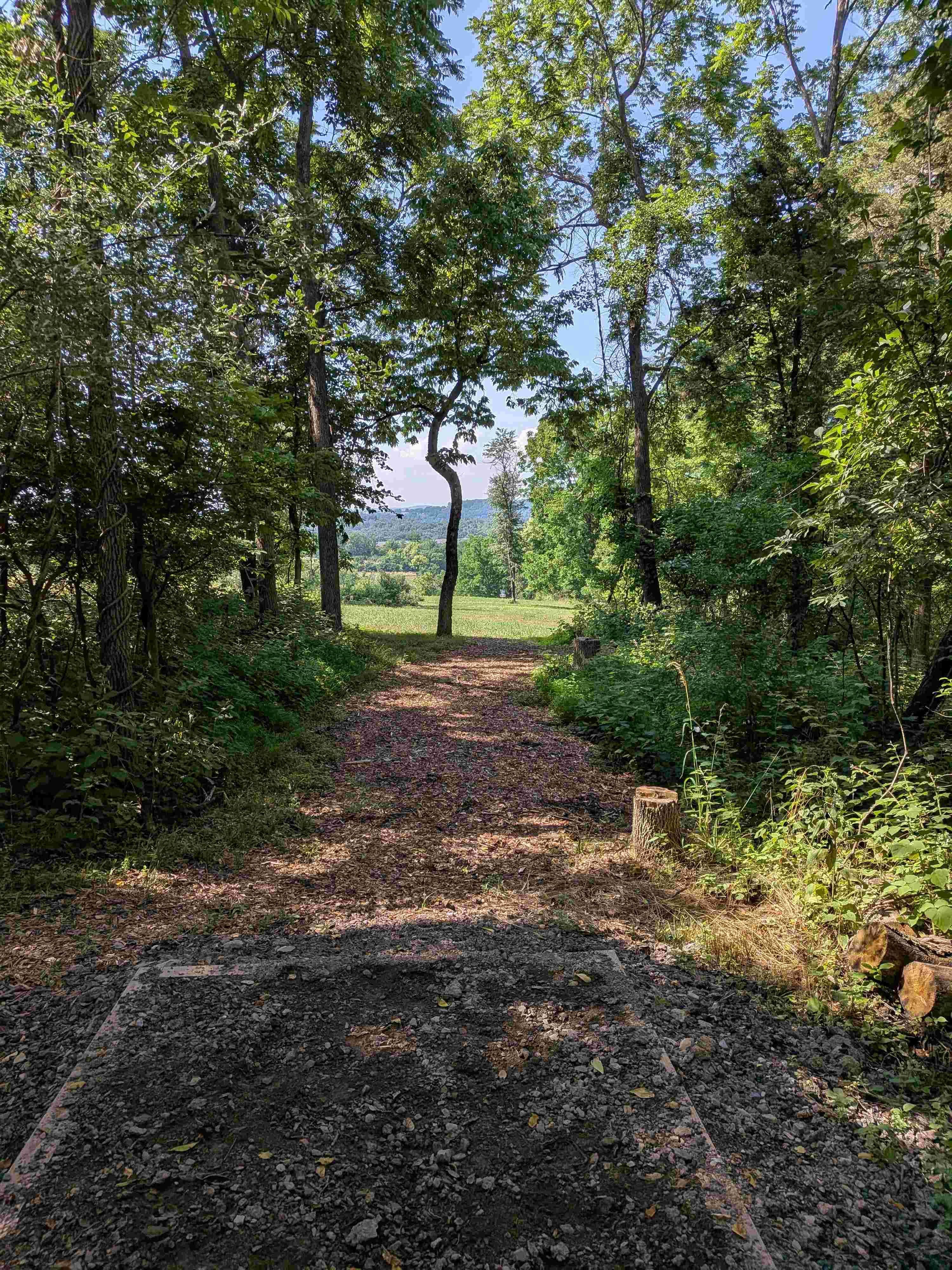 Blue Marsh DGC disc golf course in Leesport, Pennsylvania