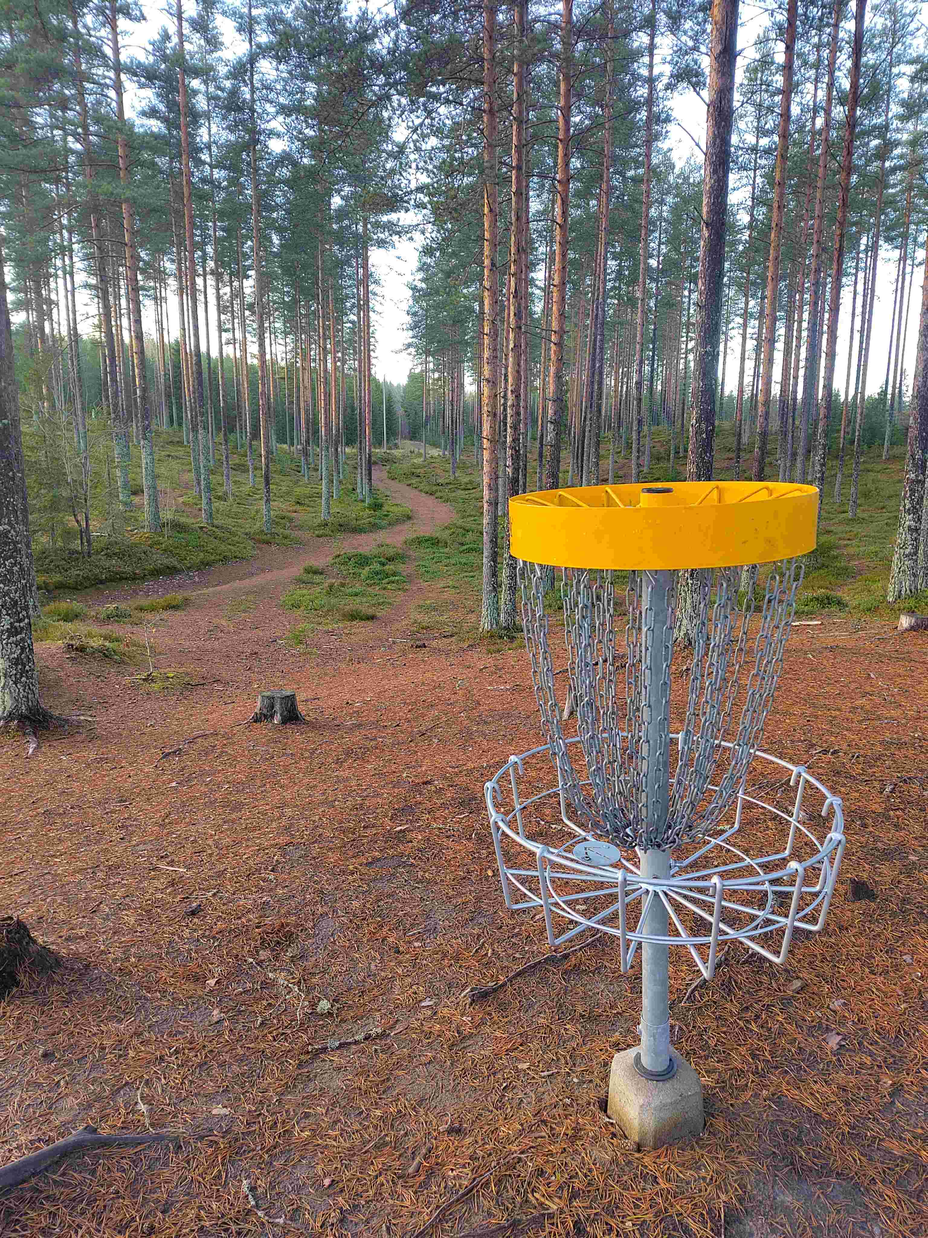 Atrain Disc Golf disc golf course in Kuopio, Pohjois-Savo