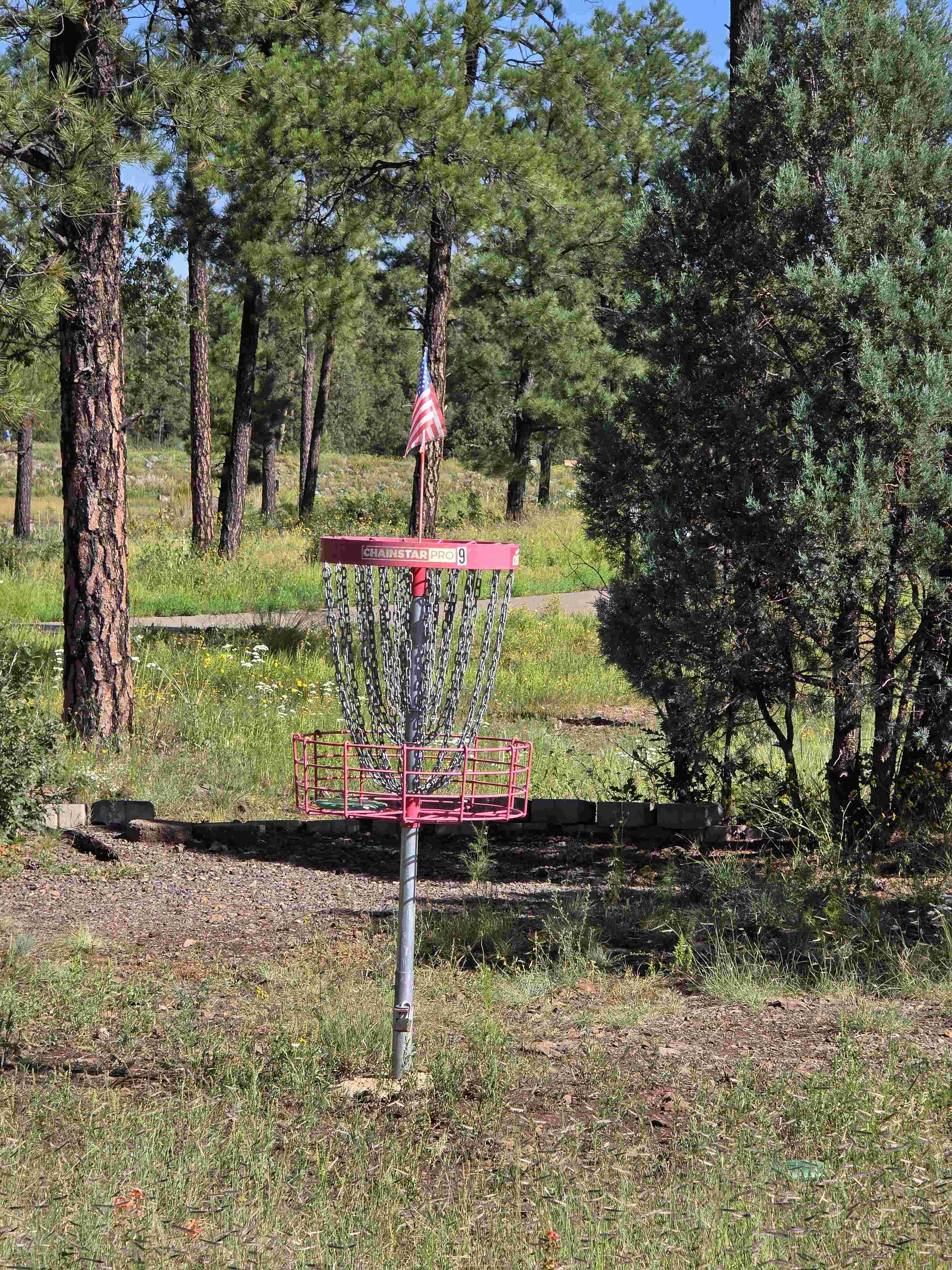 Woodland Lake Disc Golf Course disc golf course in Pinetop-Lakeside, AZ