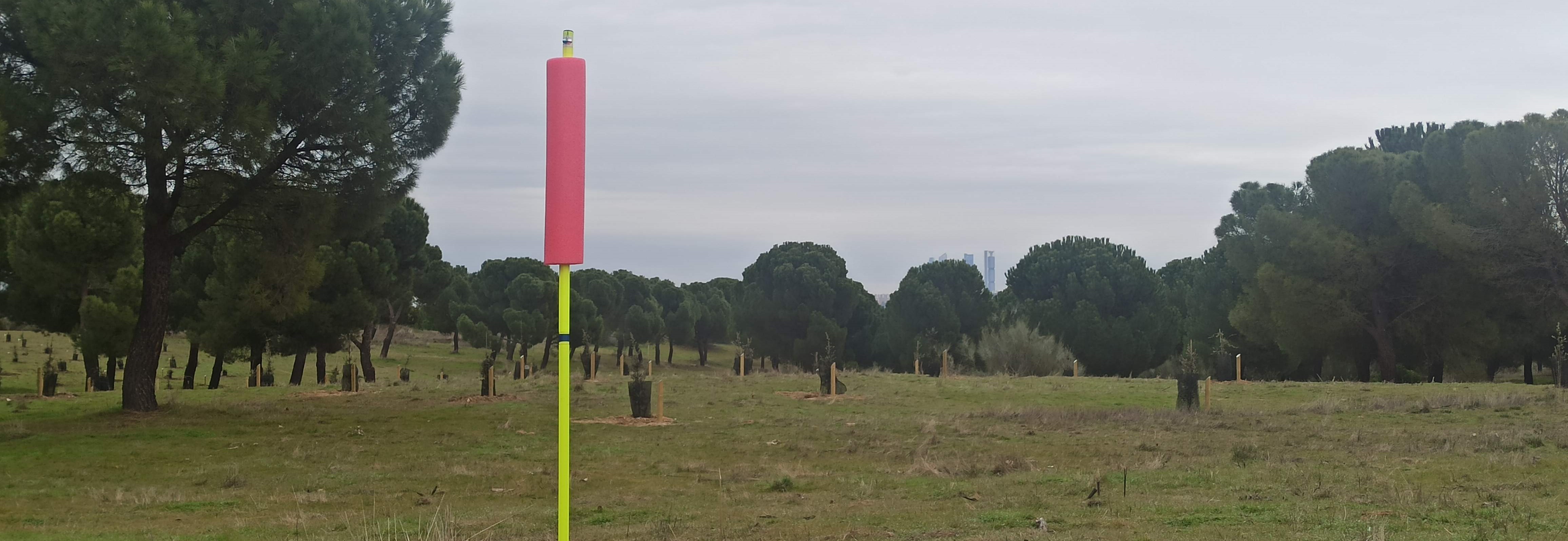 Adolfo Suárez disc golf course in Pozuelo de Alarcón, Madrid