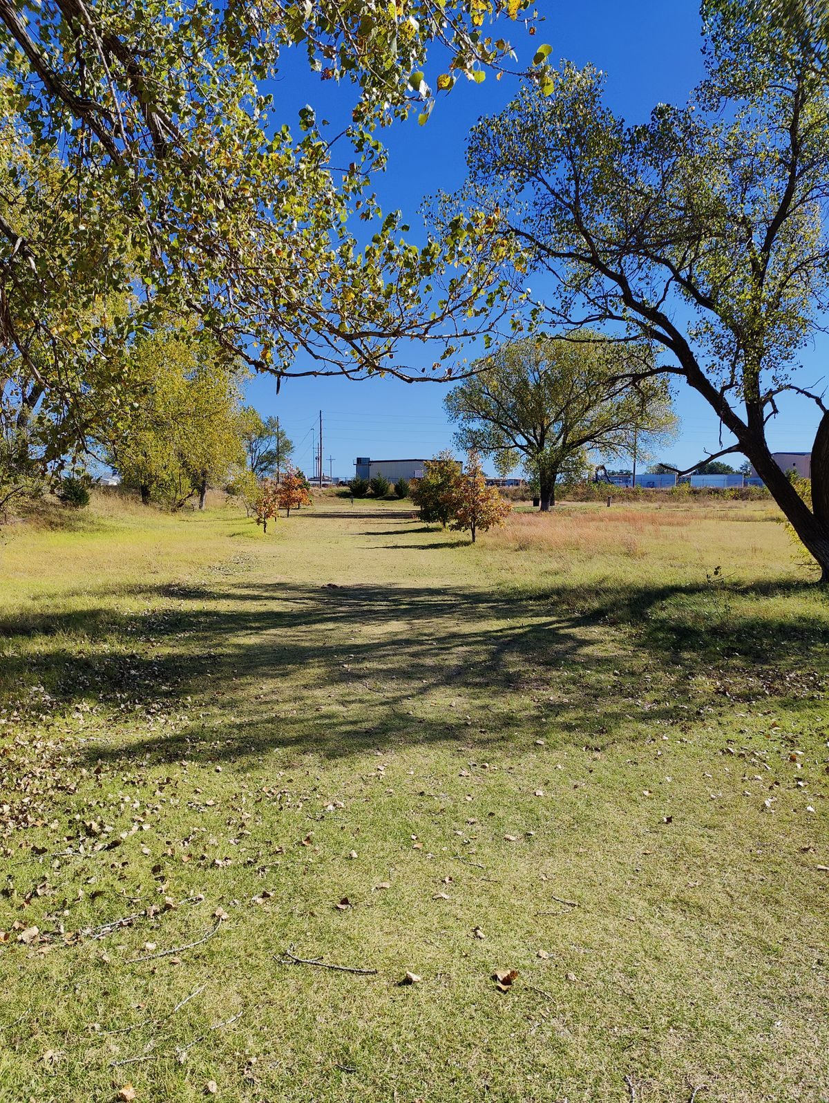 Carey Park Disc Golf Course disc golf course in Hutchinson, Kansas