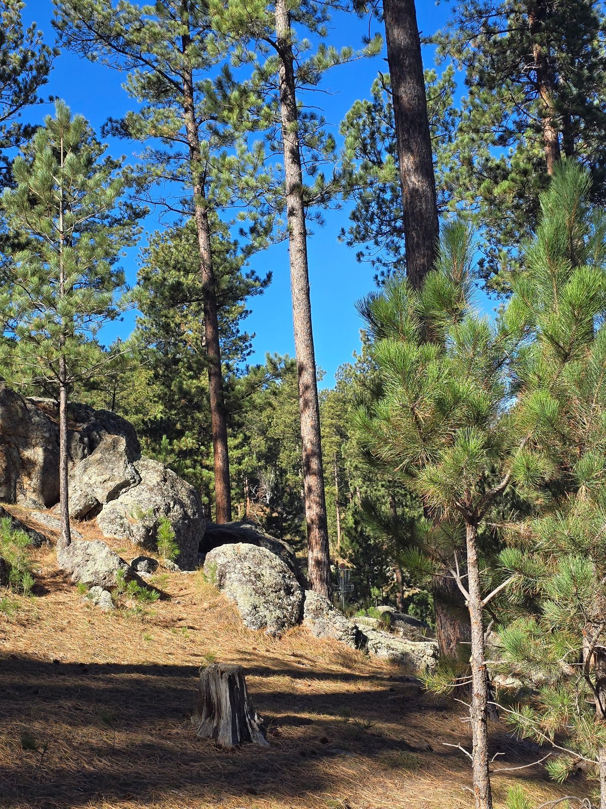 Pageant Hill disc golf course in Custer, South Dakota