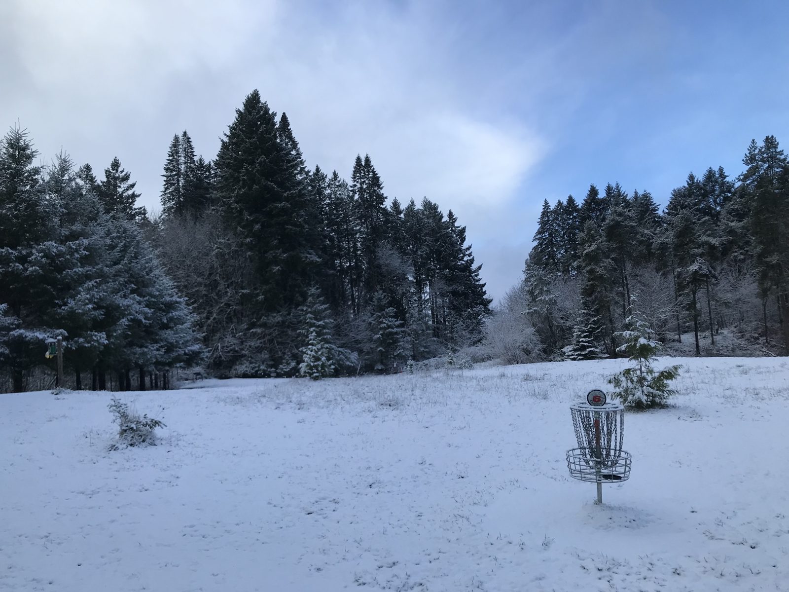 Memorial Park disc golf course in Wilsonville, Oregon