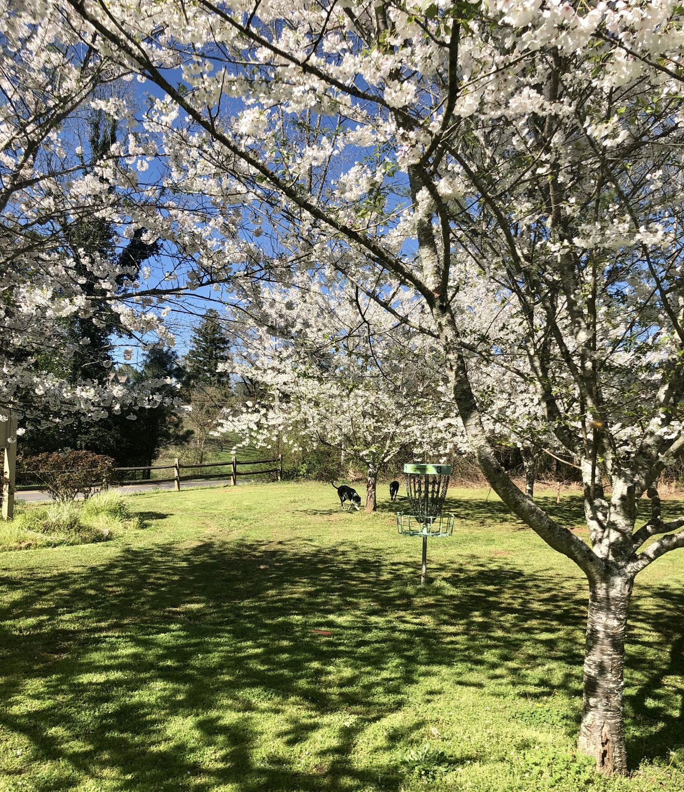 Sequoyah Park disc golf course in Canton, Georgia