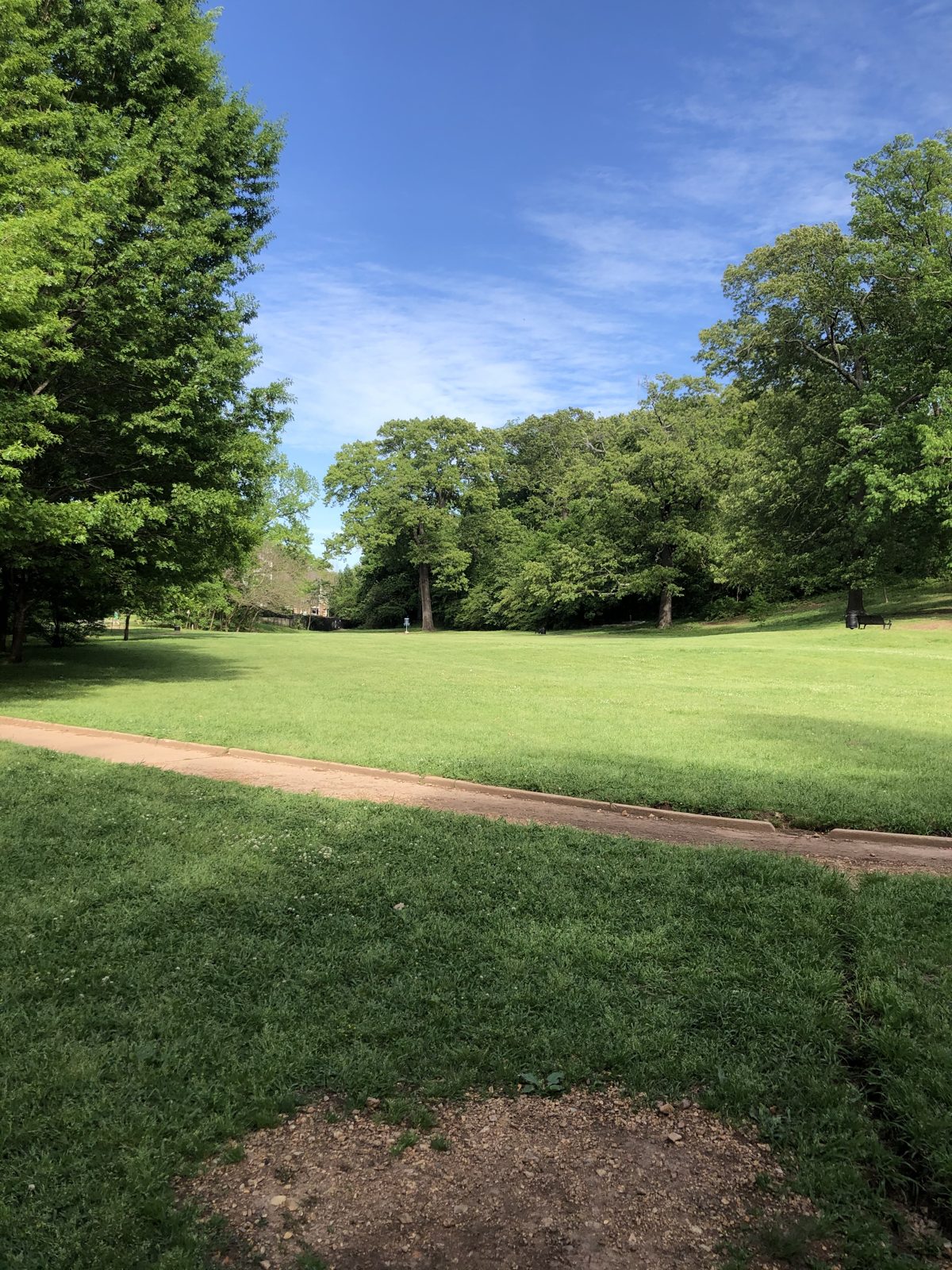 George Ward Park disc golf course in Birmingham, Alabama