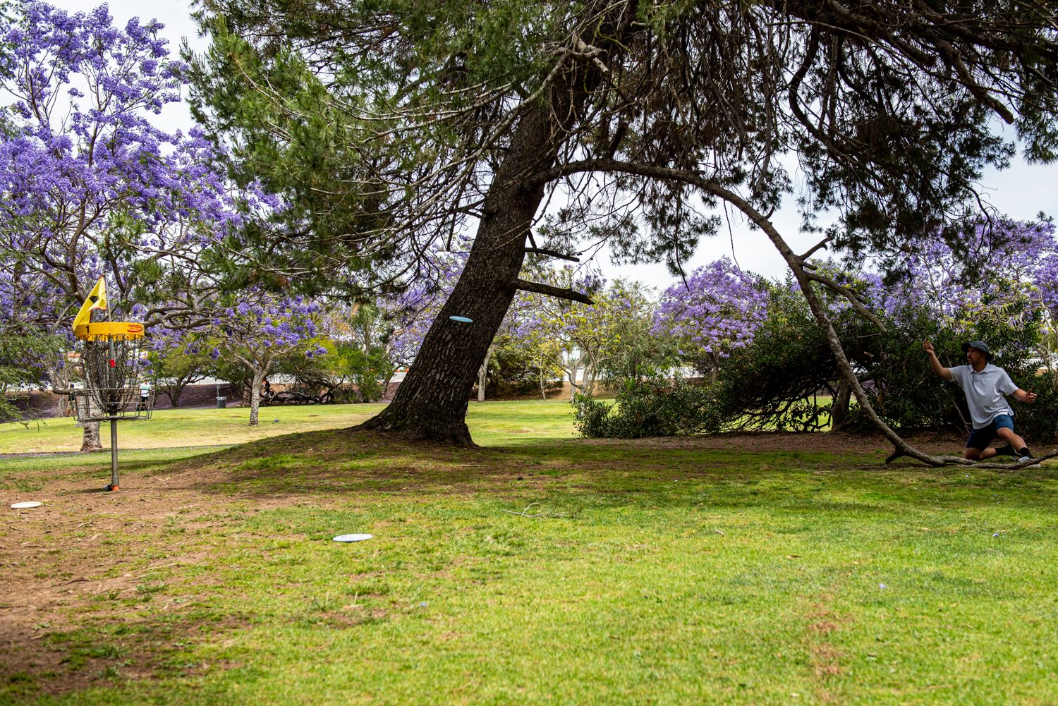 Morley Field disc golf course in San Diego, California