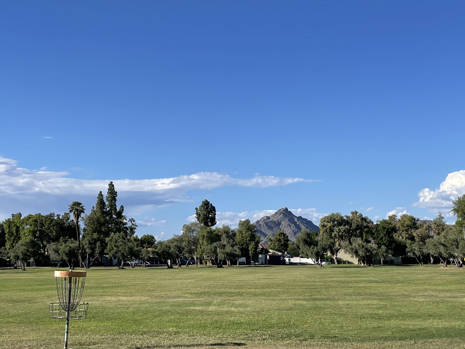 Los Olivos DGC disc golf course in Phoenix, Arizona