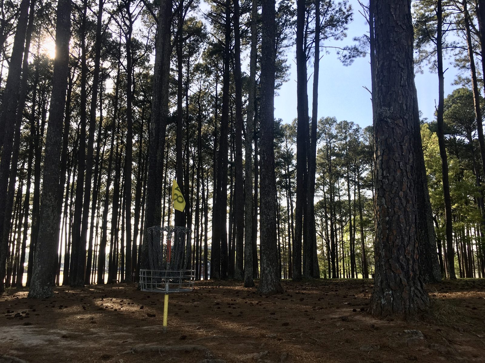 Tom Monroe DGC at Brahan Spring Park disc golf course in Huntsville, Alabama