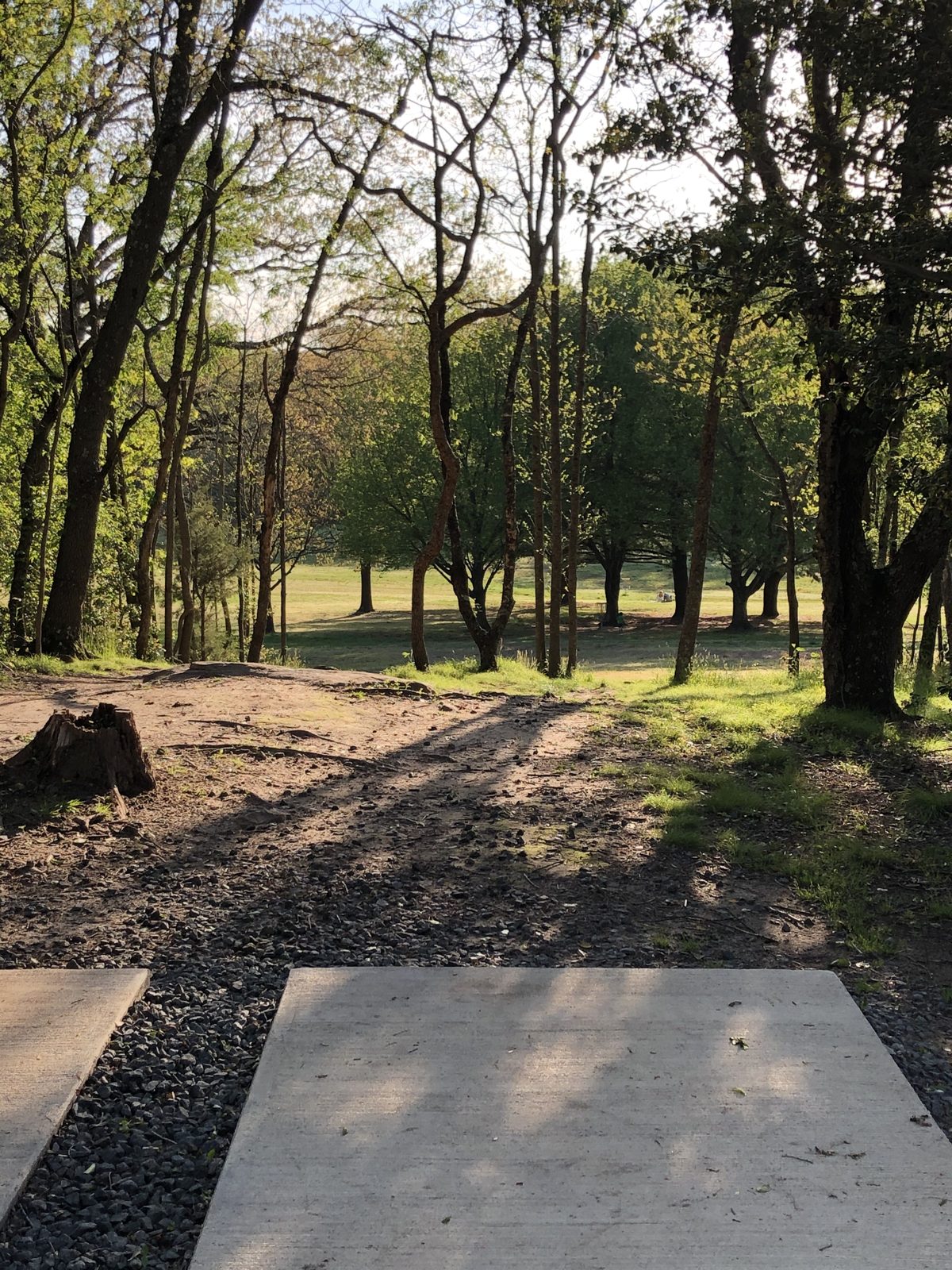 Kinder Farm Park disc golf course in Millersville, Maryland