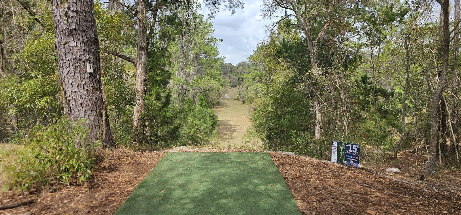 Olympus DGC disc golf course in Brooksville, Florida
