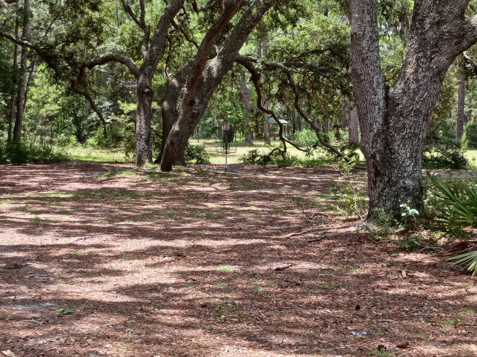 Ocala Greenway Disc Golf Course disc golf course in Ocala, Florida