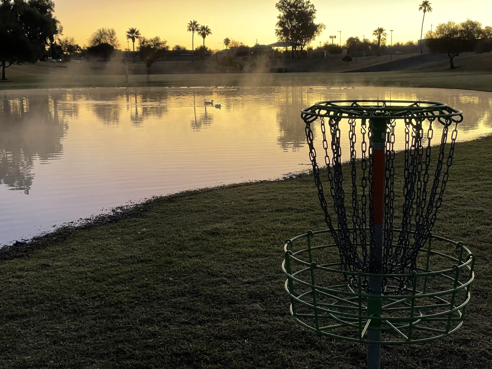 Emerald Park disc golf course in Mesa, Arizona