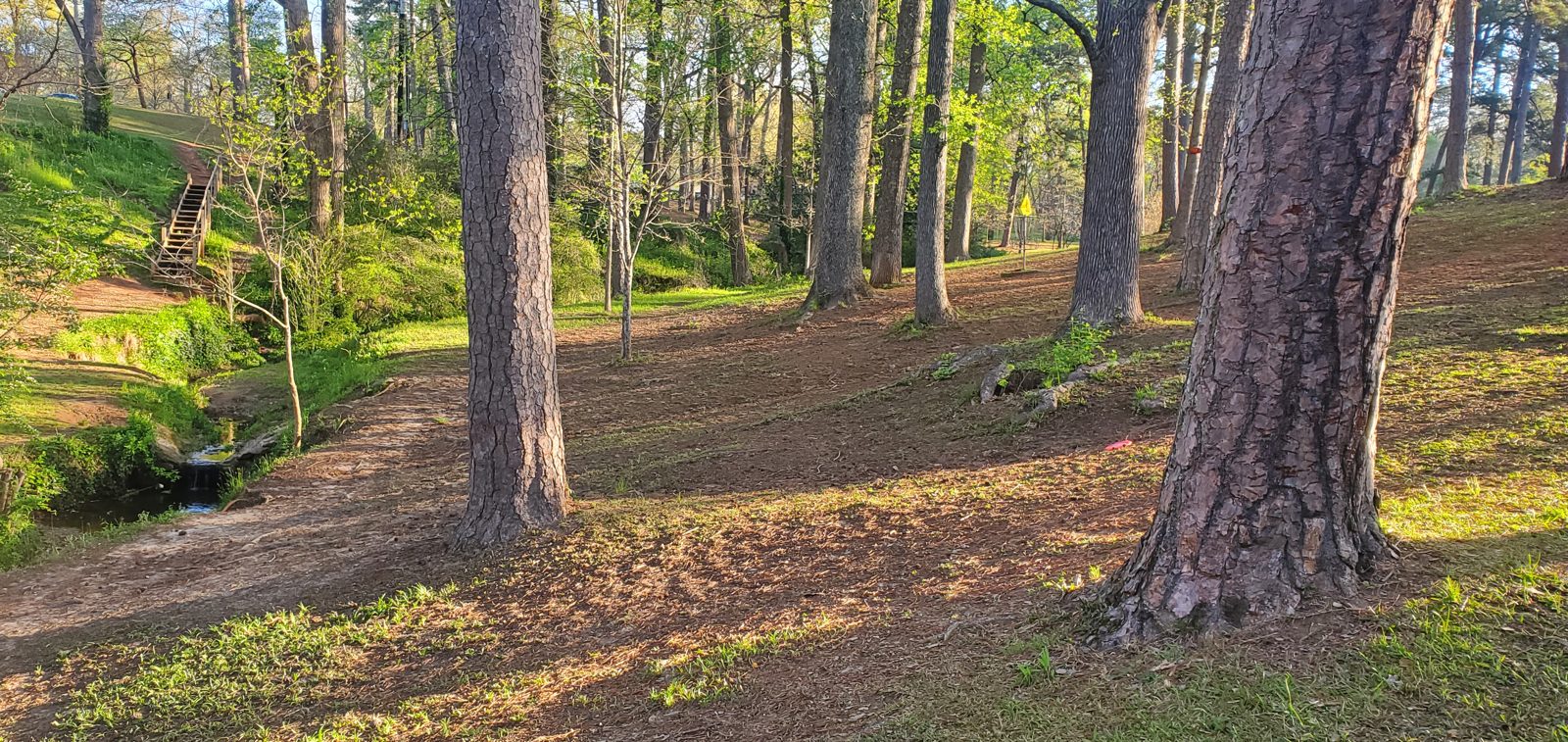 Perkerson Park disc golf course in Atlanta, Georgia