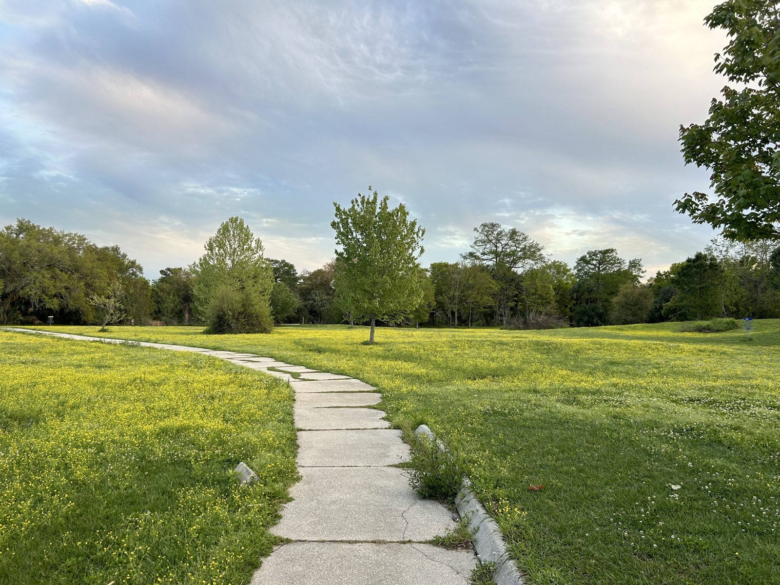 City Park DGC disc golf course in New Orleans, Louisiana