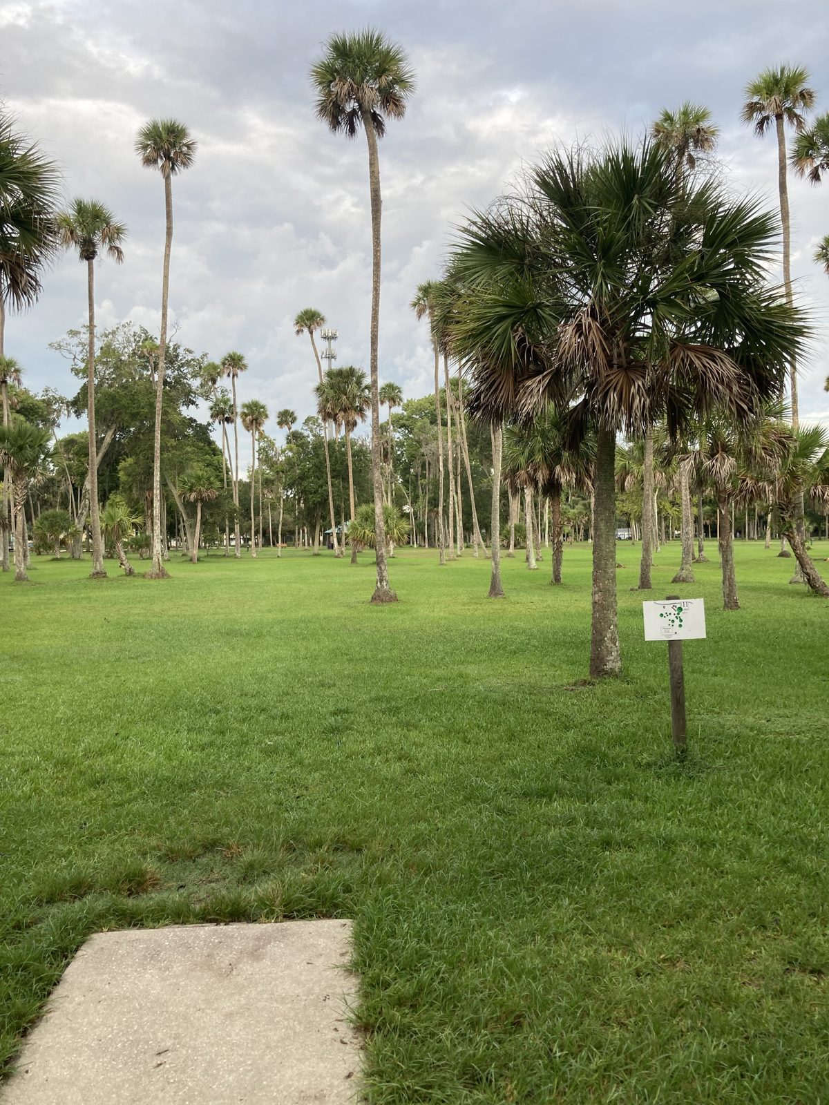 Reed Canal Park disc golf course in Daytona Beach, Florida