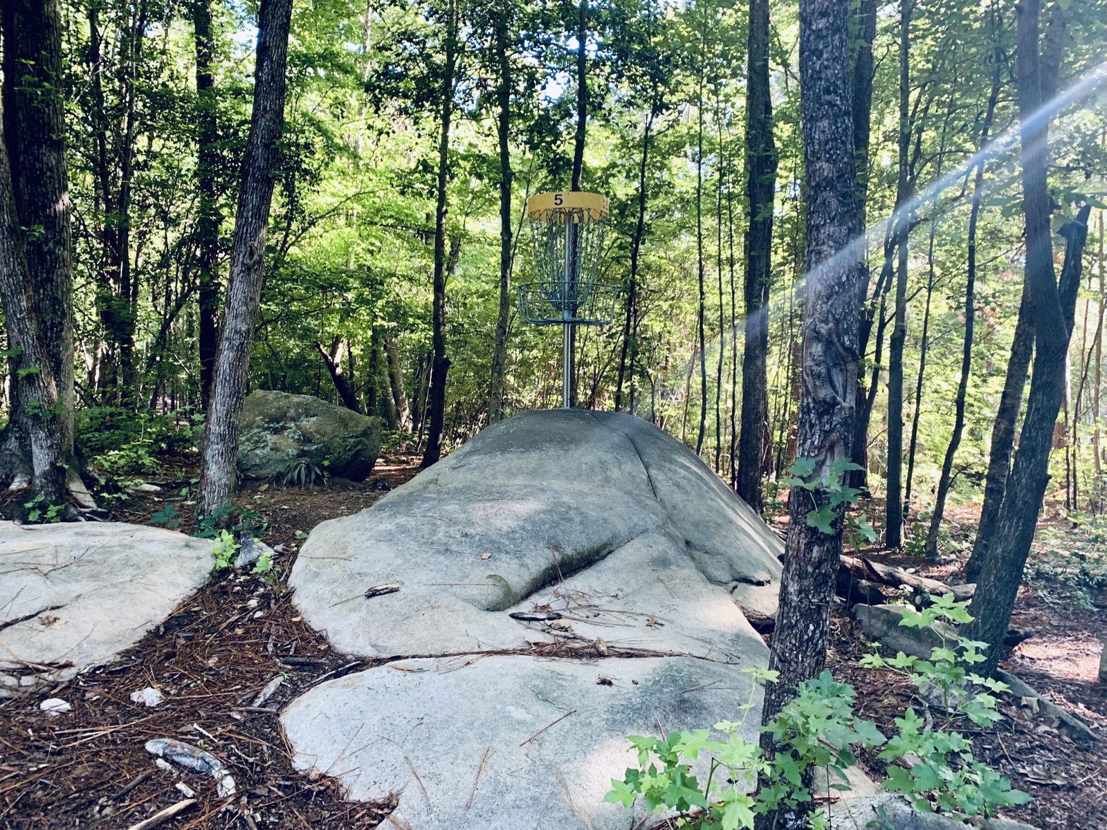 East Clayton DGC disc golf course in Clayton, North Carolina