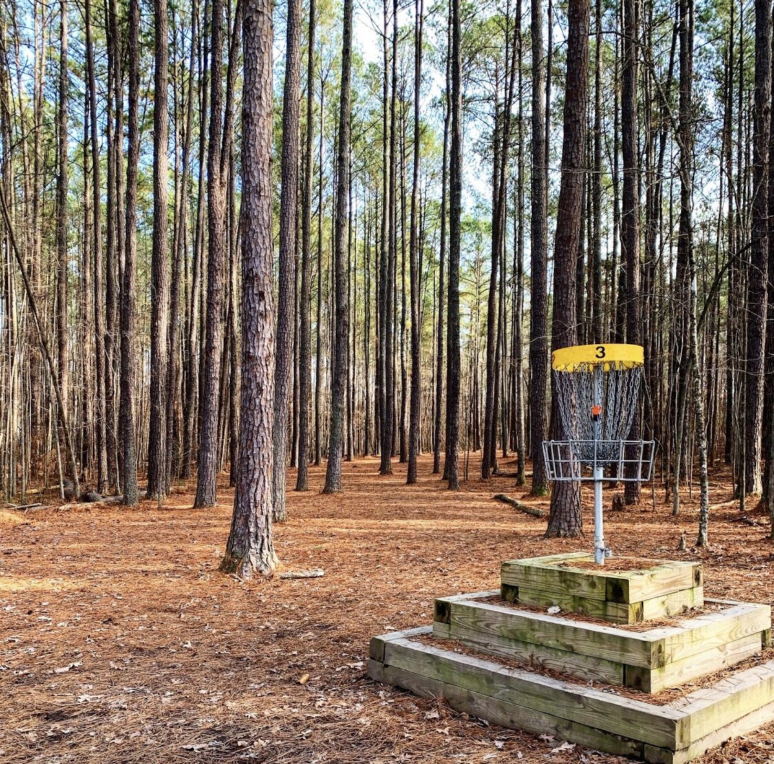 Apex Nature Park disc golf course in Apex, North Carolina