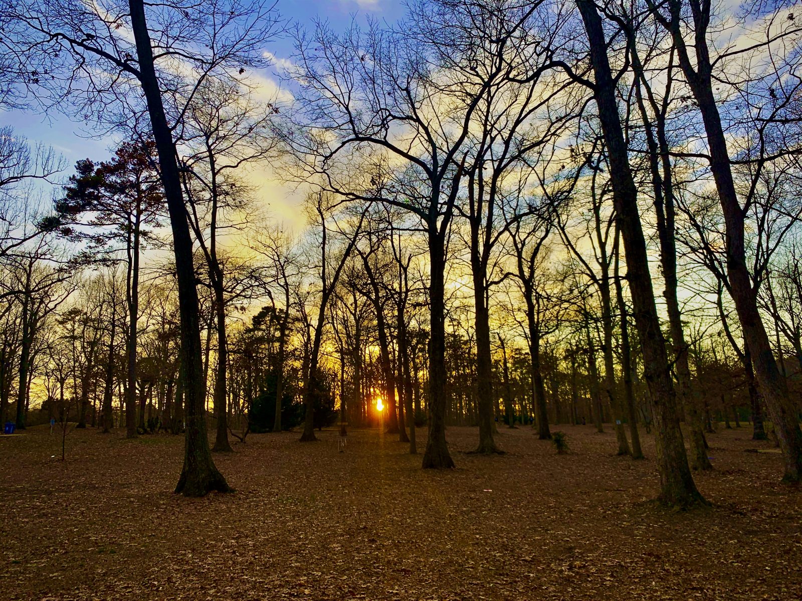 Bayville Park disc golf course in Virginia Beach, Virginia