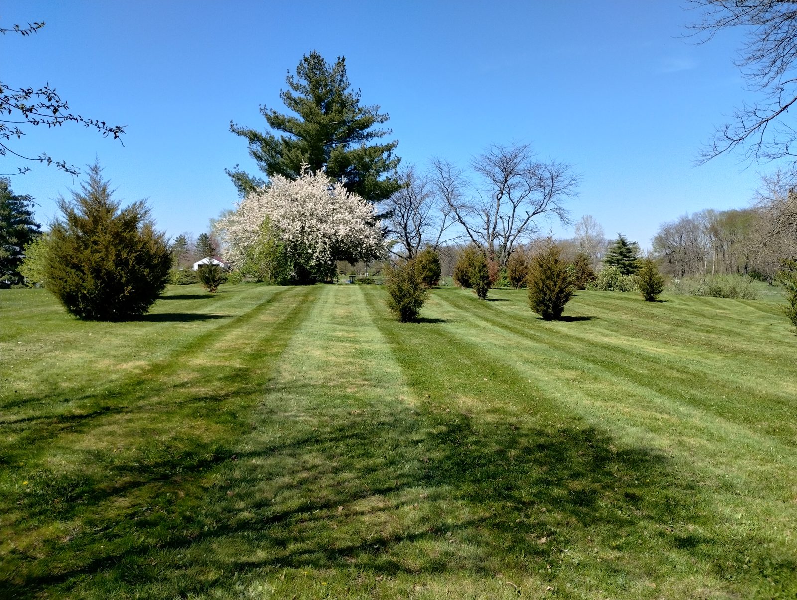 Bachelor Runn Campground DGC disc golf course in Flora, Indiana