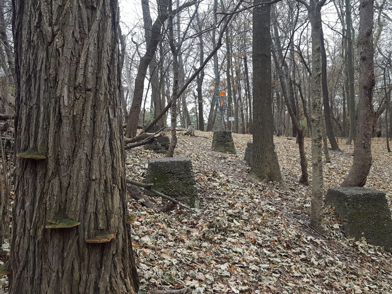 Schenley Park disc golf course in Pittsburgh, Pennsylvania