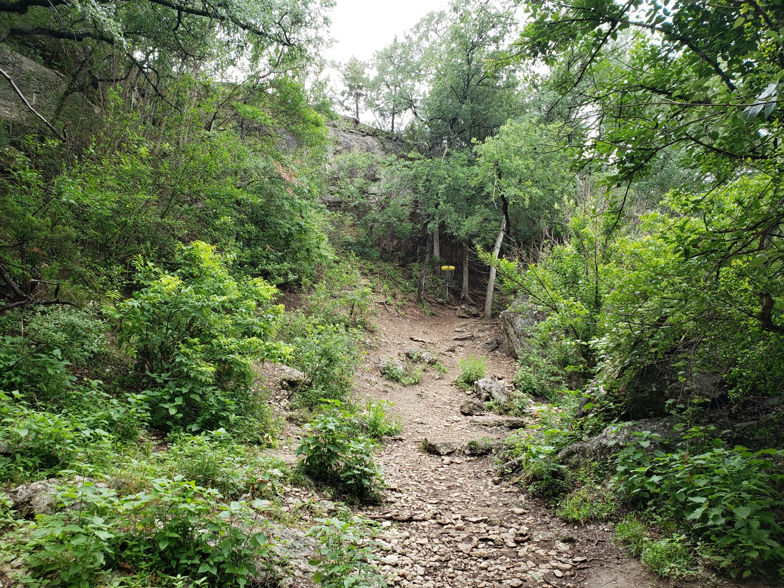 Rivery Park disc golf course in Georgetown, Texas