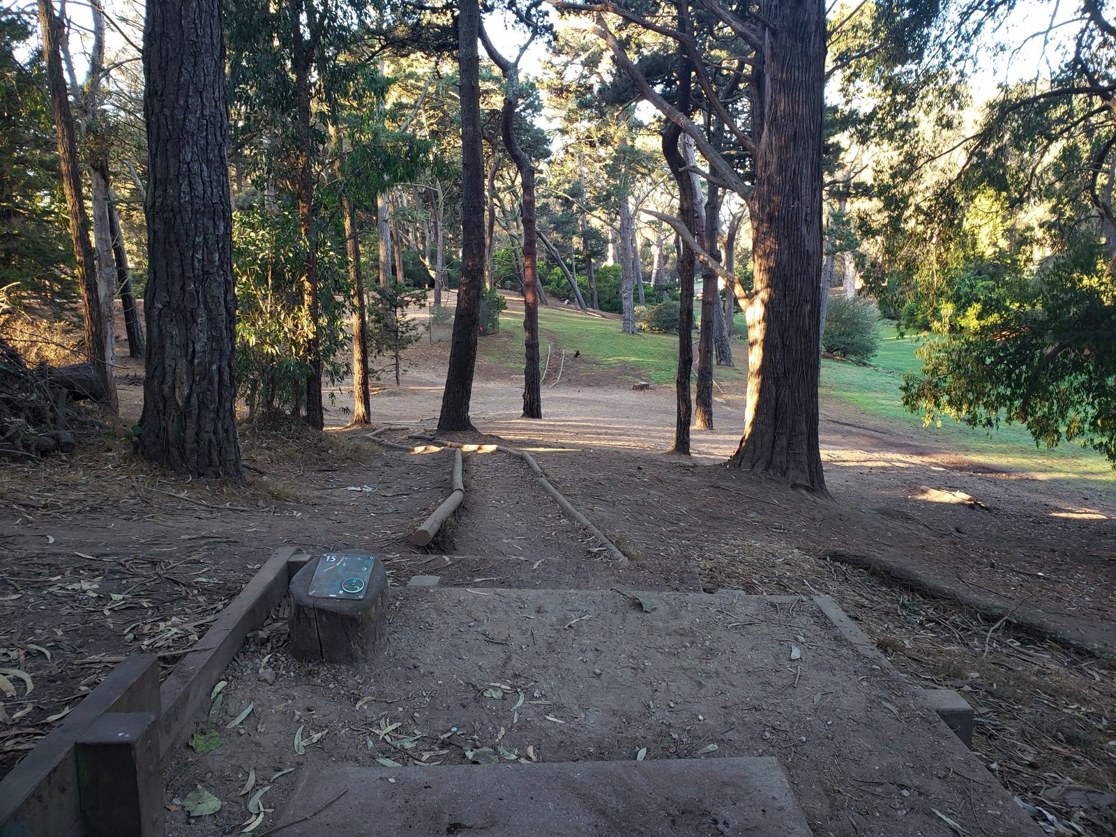 Golden Gate Park disc golf course in San Francisco, California