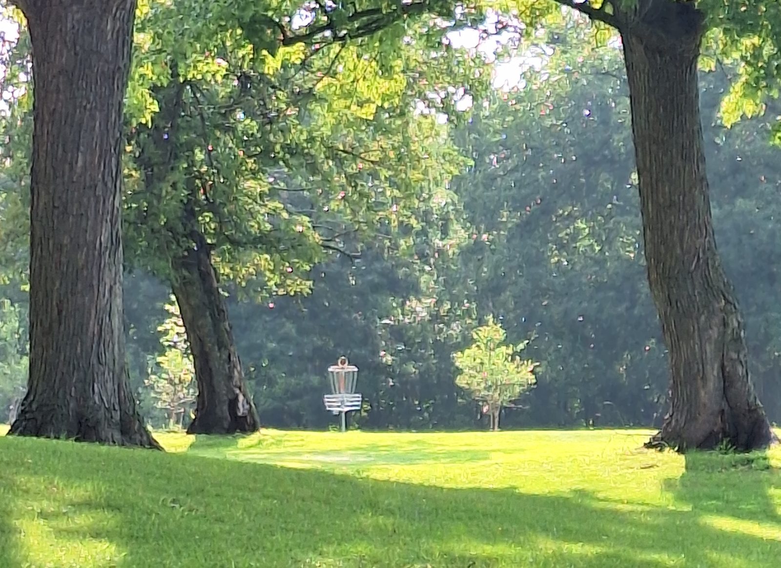 C.P. Adams Park disc golf course in Hastings, Minnesota