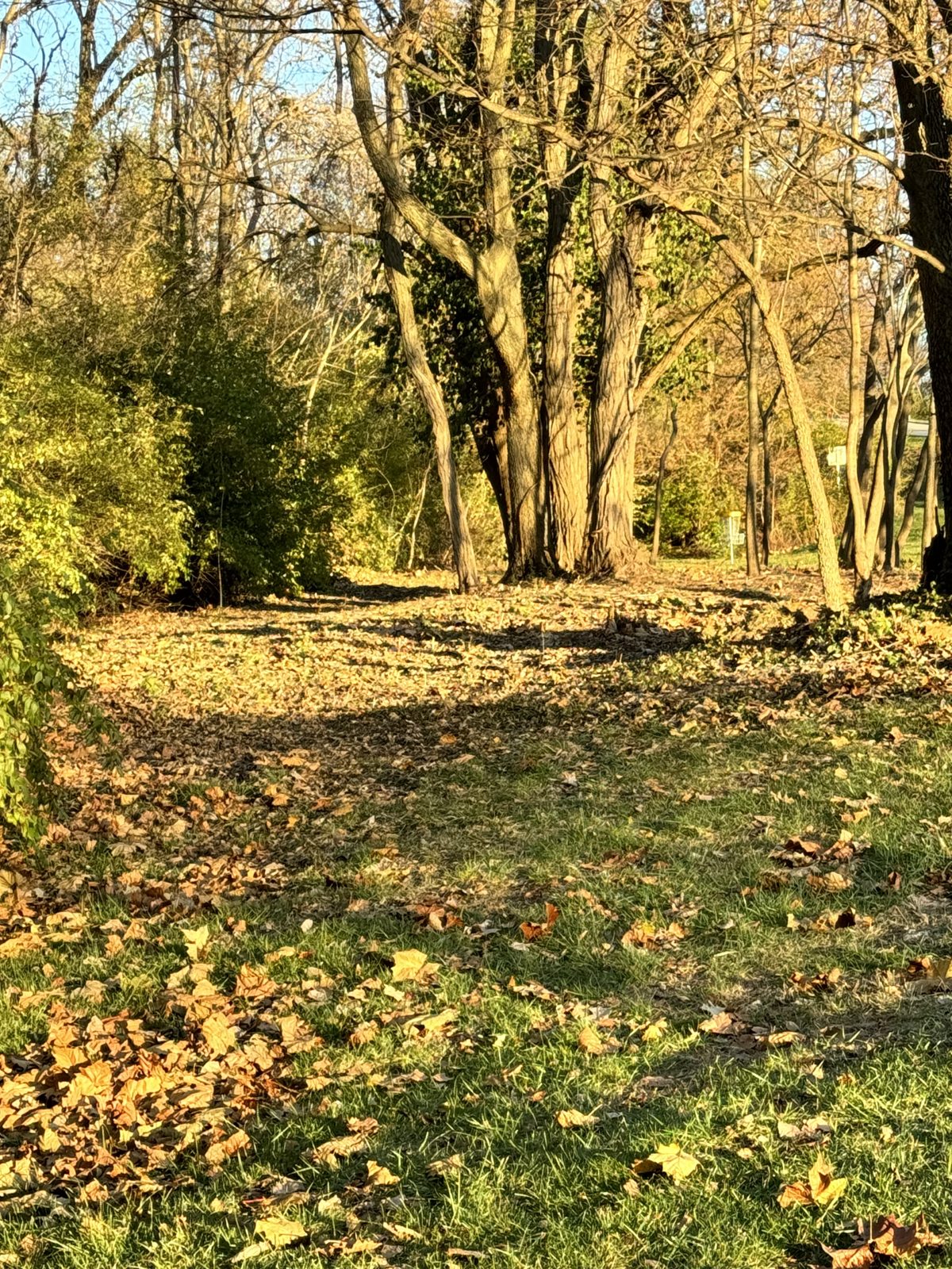 Derby Downs Disc Golf Course disc golf course in Anderson, Indiana