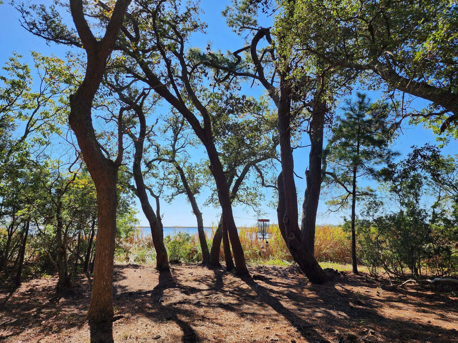Casey R. Logan (OBX) DG disc golf course in Kill Devil Hills, North Carolina