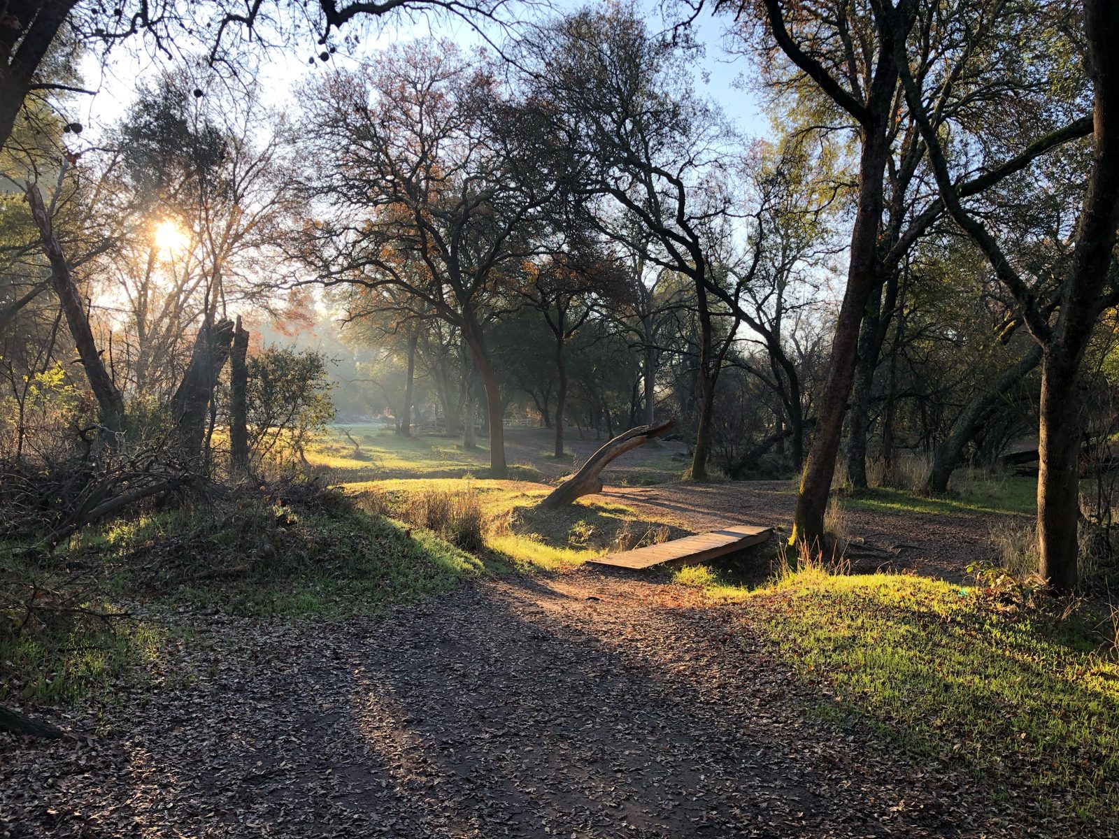 Shady Oaks Disc Golf Course disc golf course in Orangevale, California